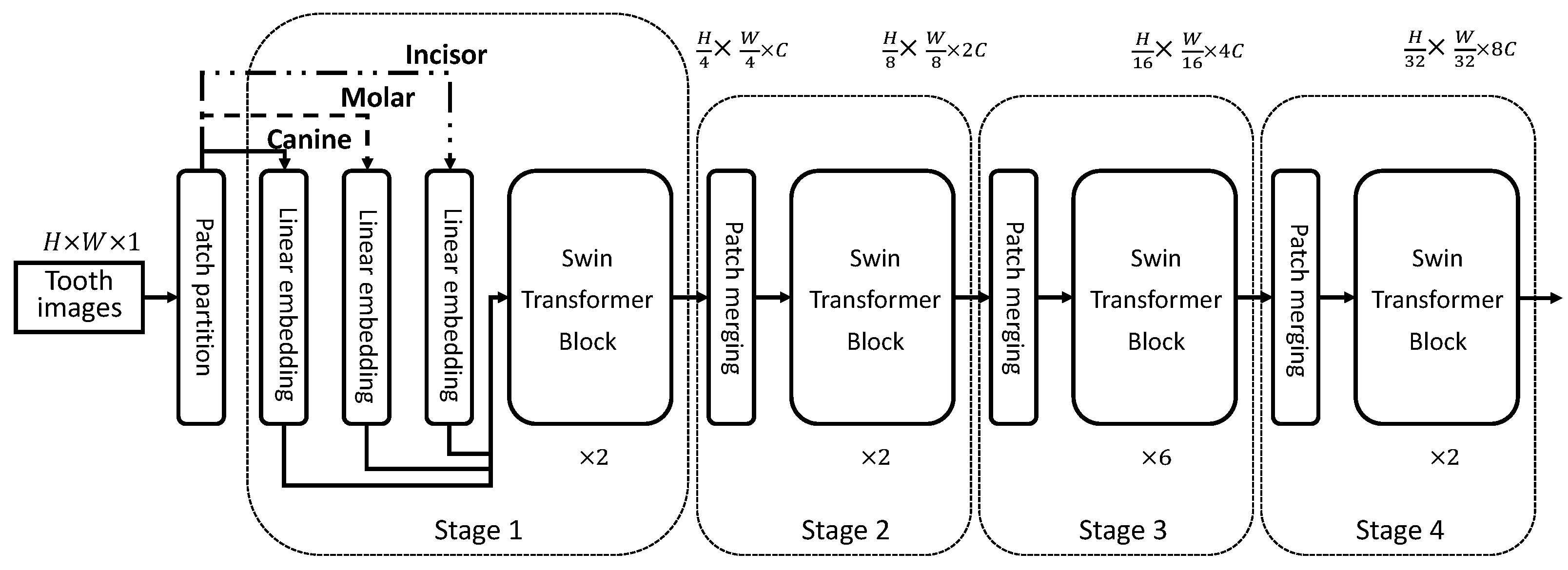 Diagnostics 13 00689 g002