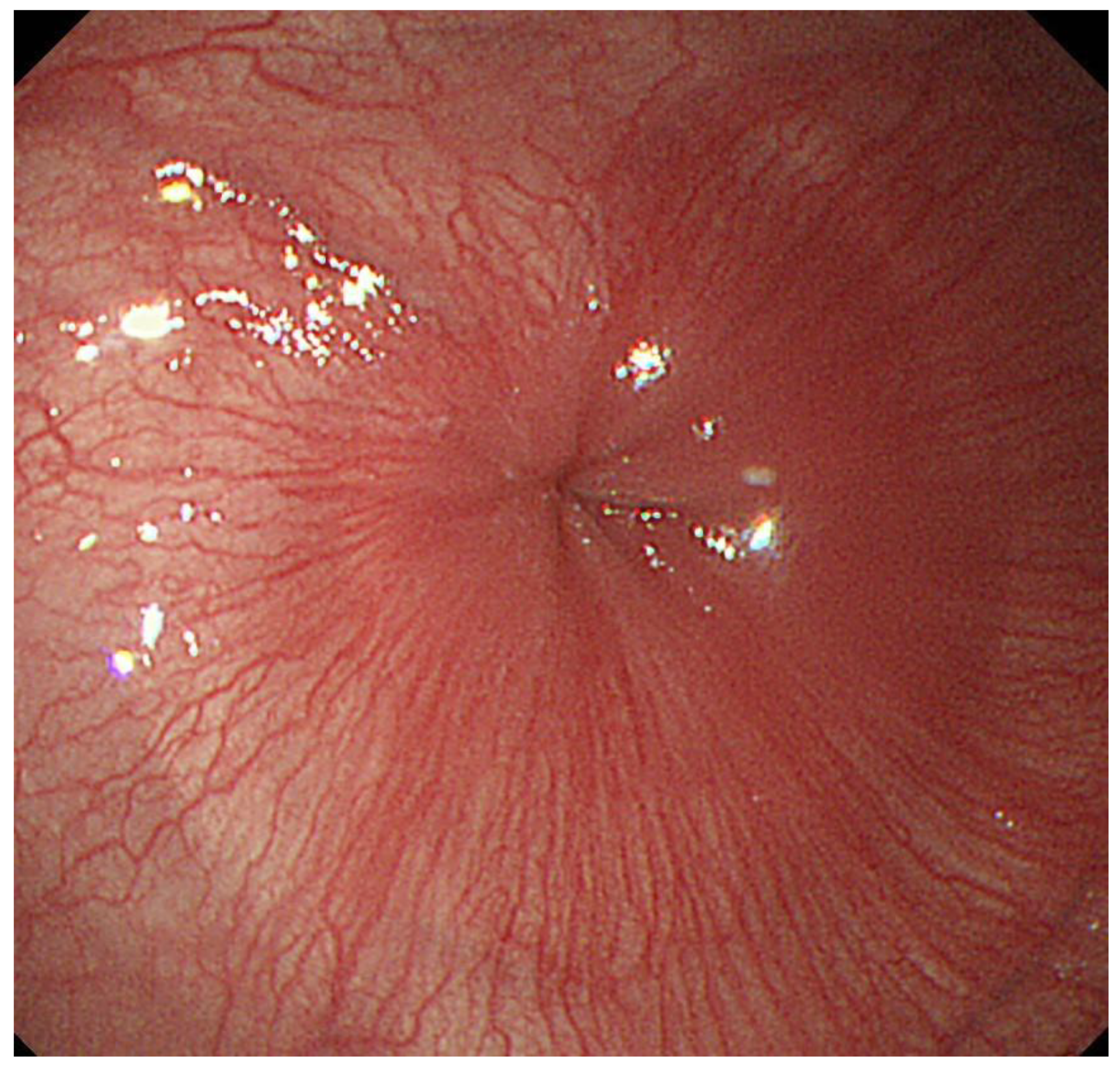 Diagnostics 13 00695 g002