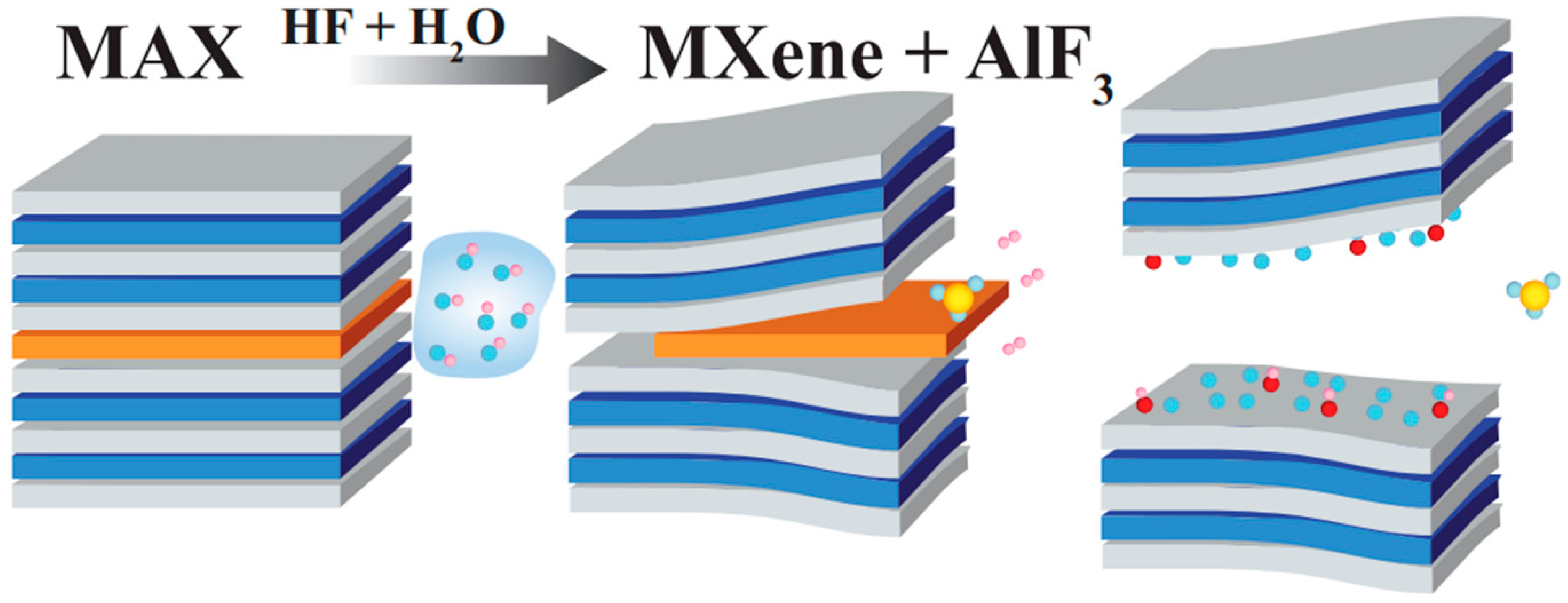 Diagnostics 13 00697 g004