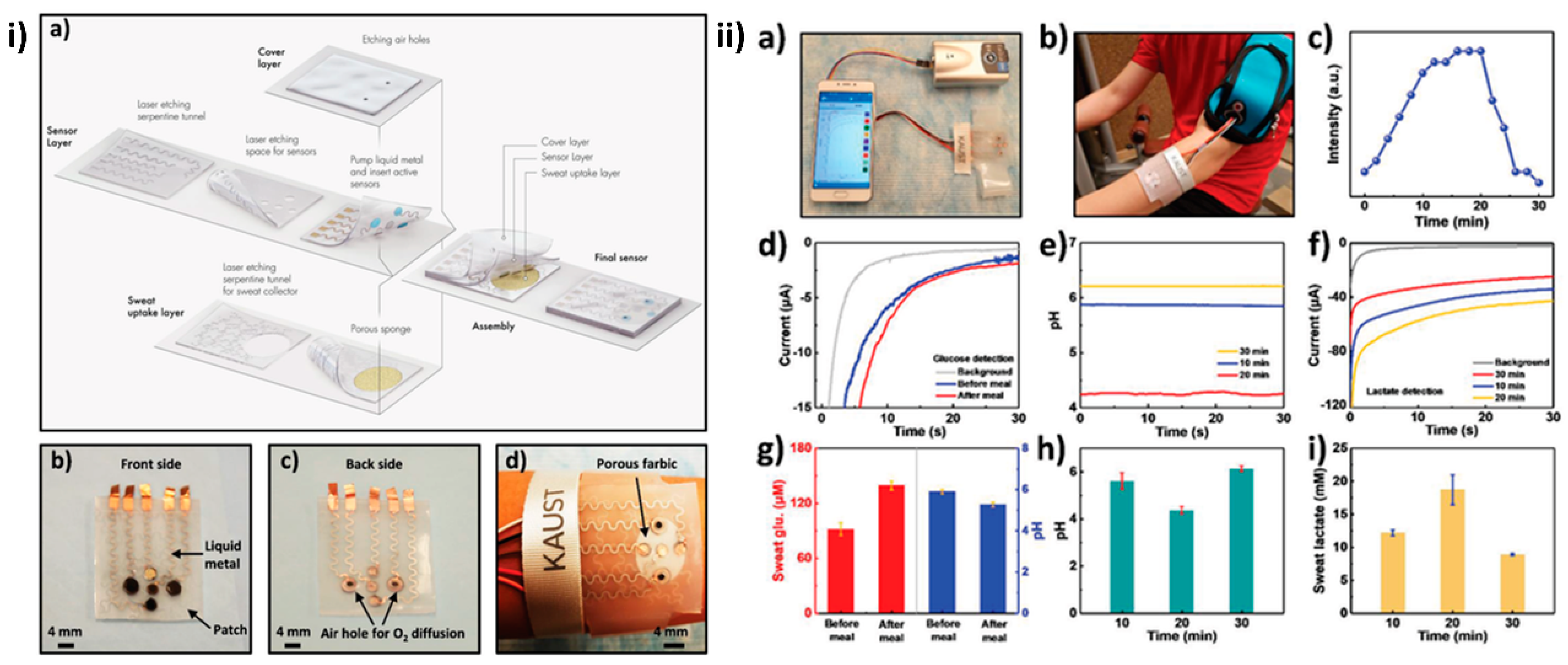 Diagnostics 13 00697 g007