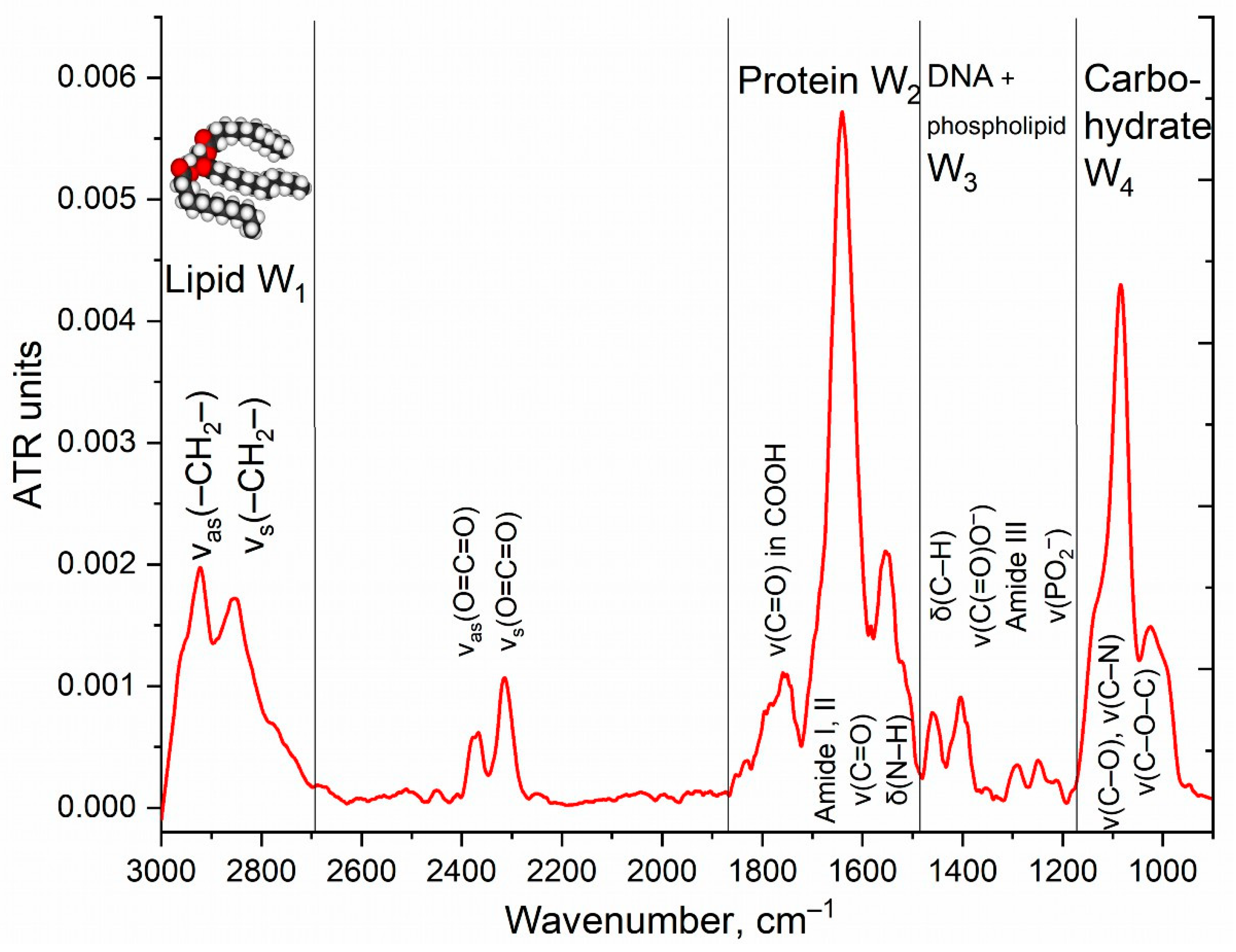 Diagnostics 13 00698 g001