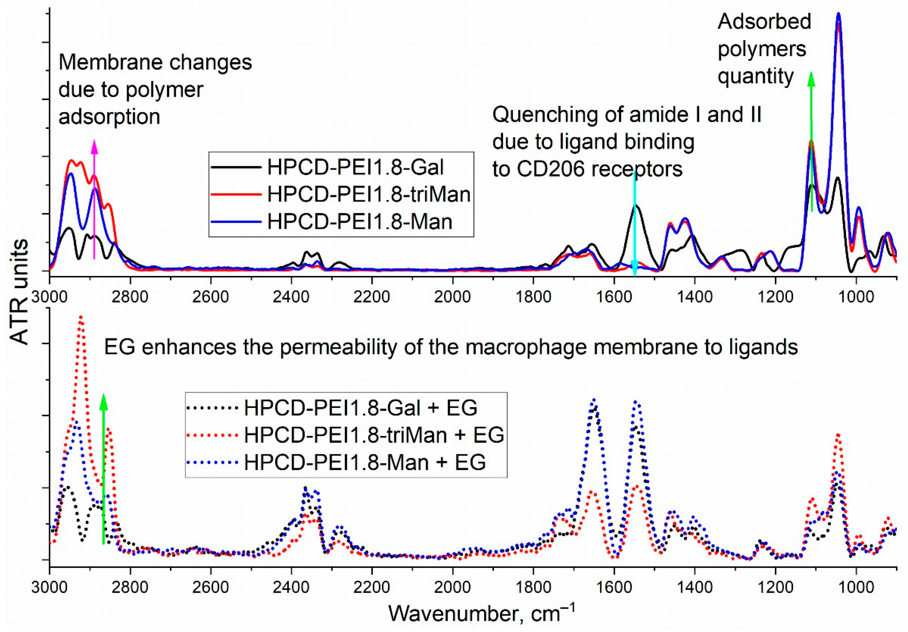 Diagnostics 13 00698 g004