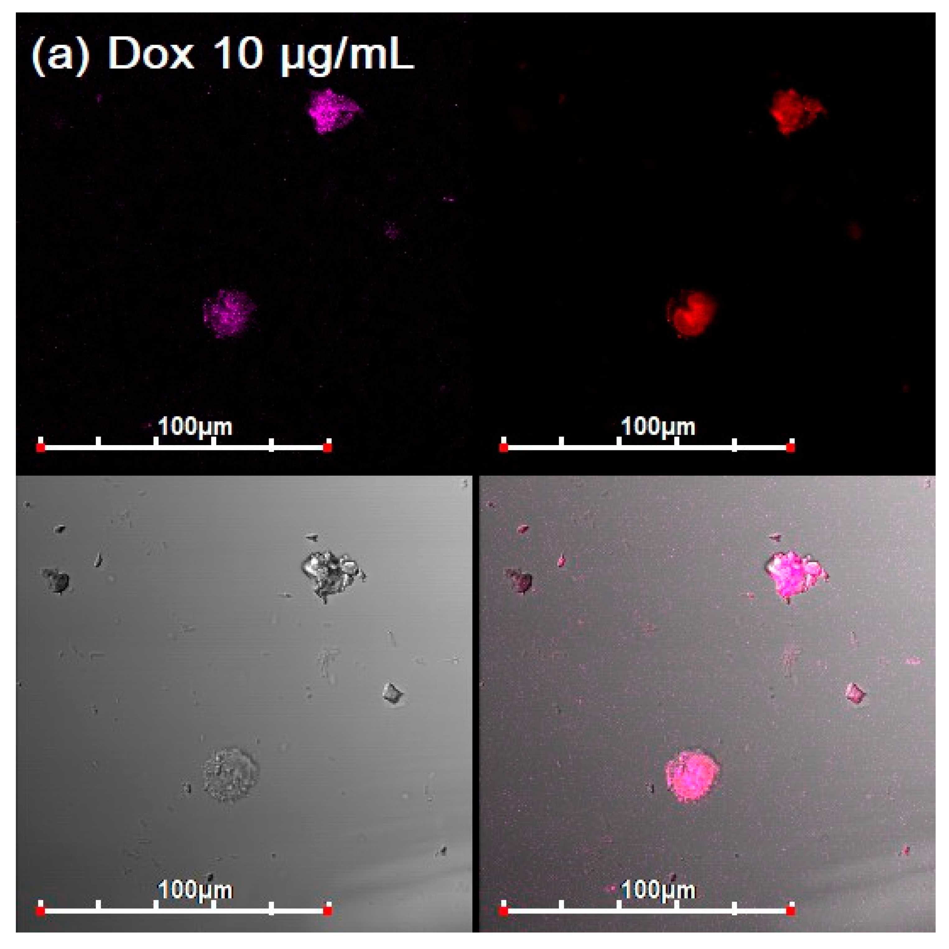 Diagnostics 13 00698 g005a