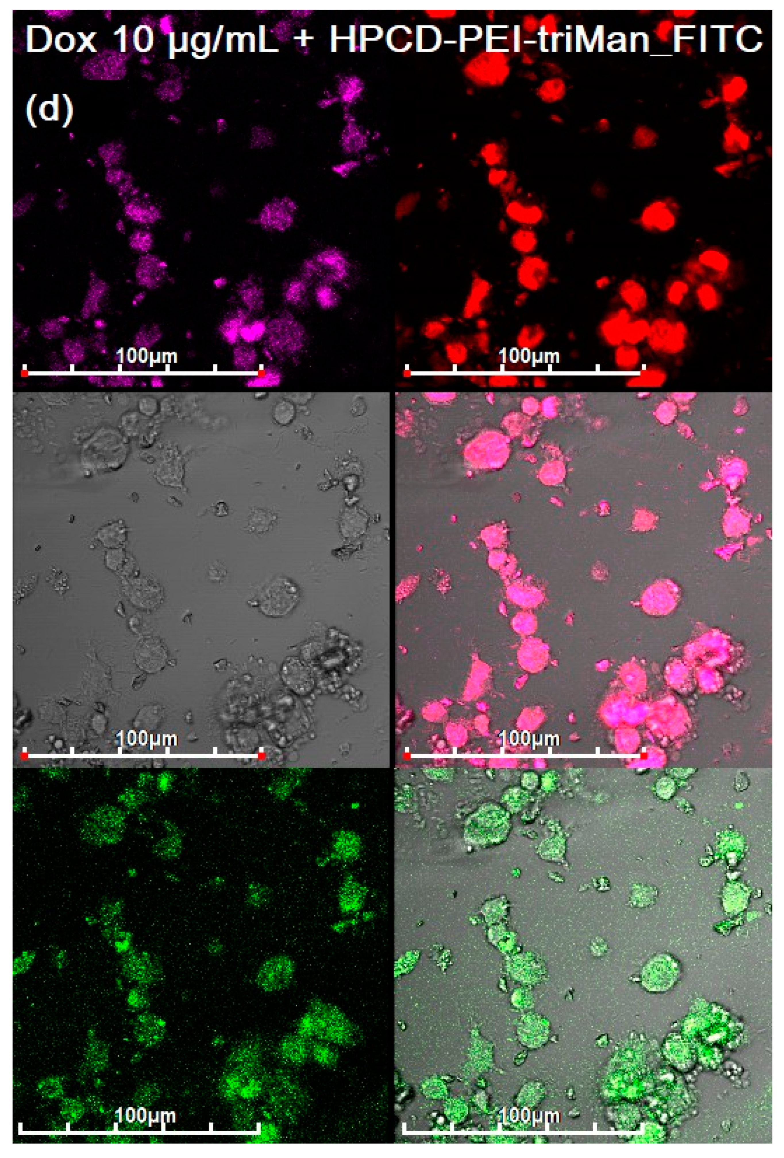 Diagnostics 13 00698 g005d