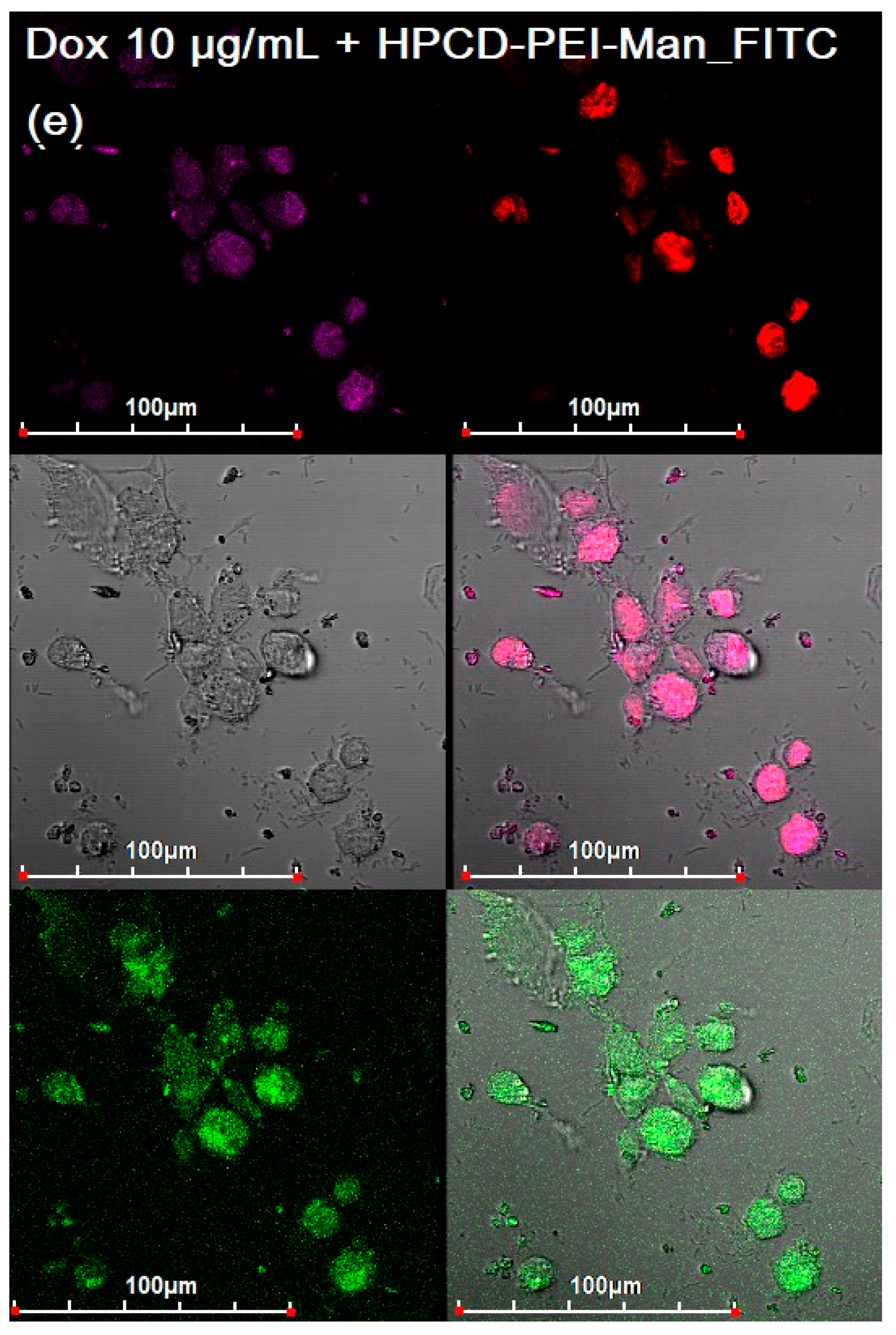 Diagnostics 13 00698 g005e