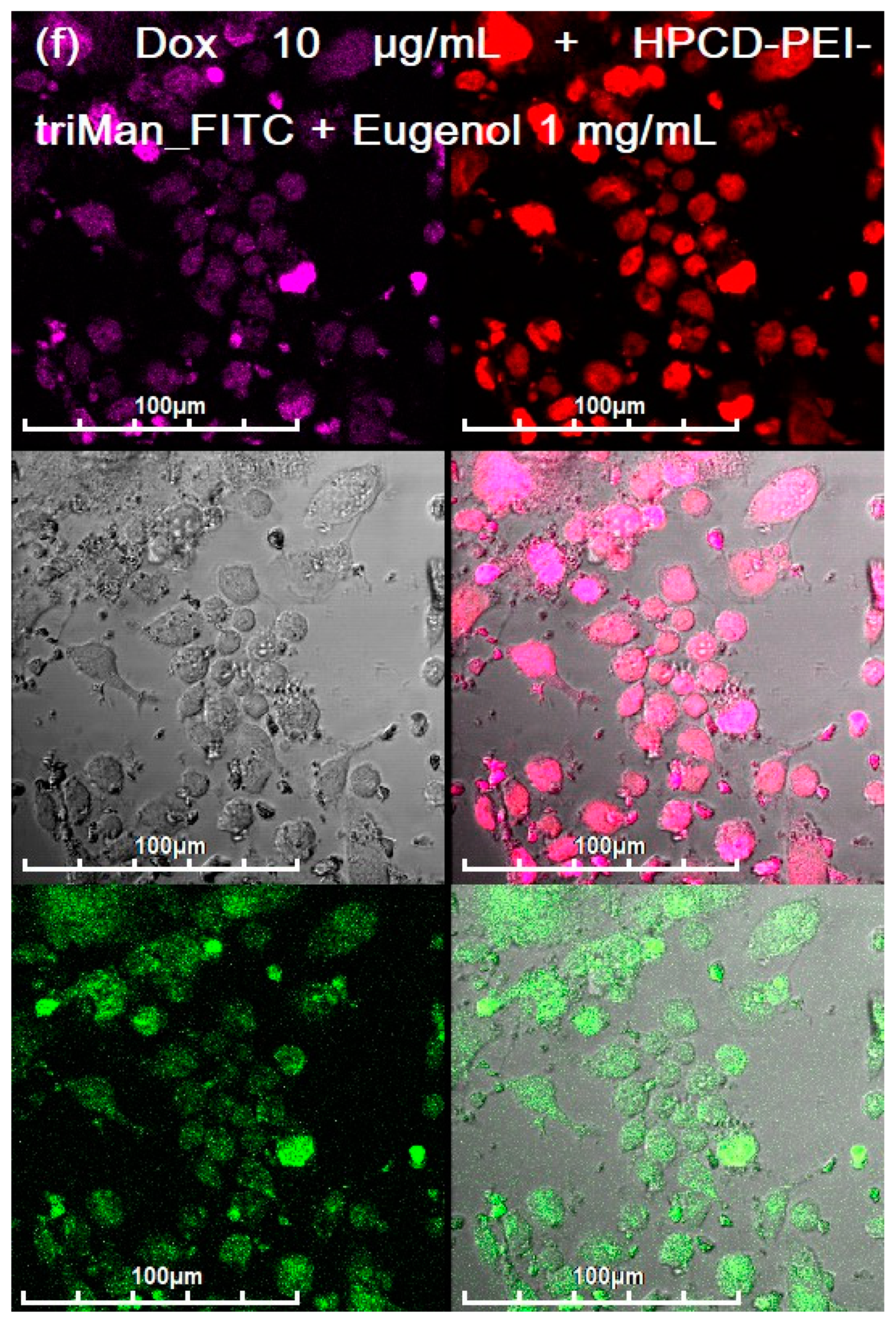 Diagnostics 13 00698 g005f