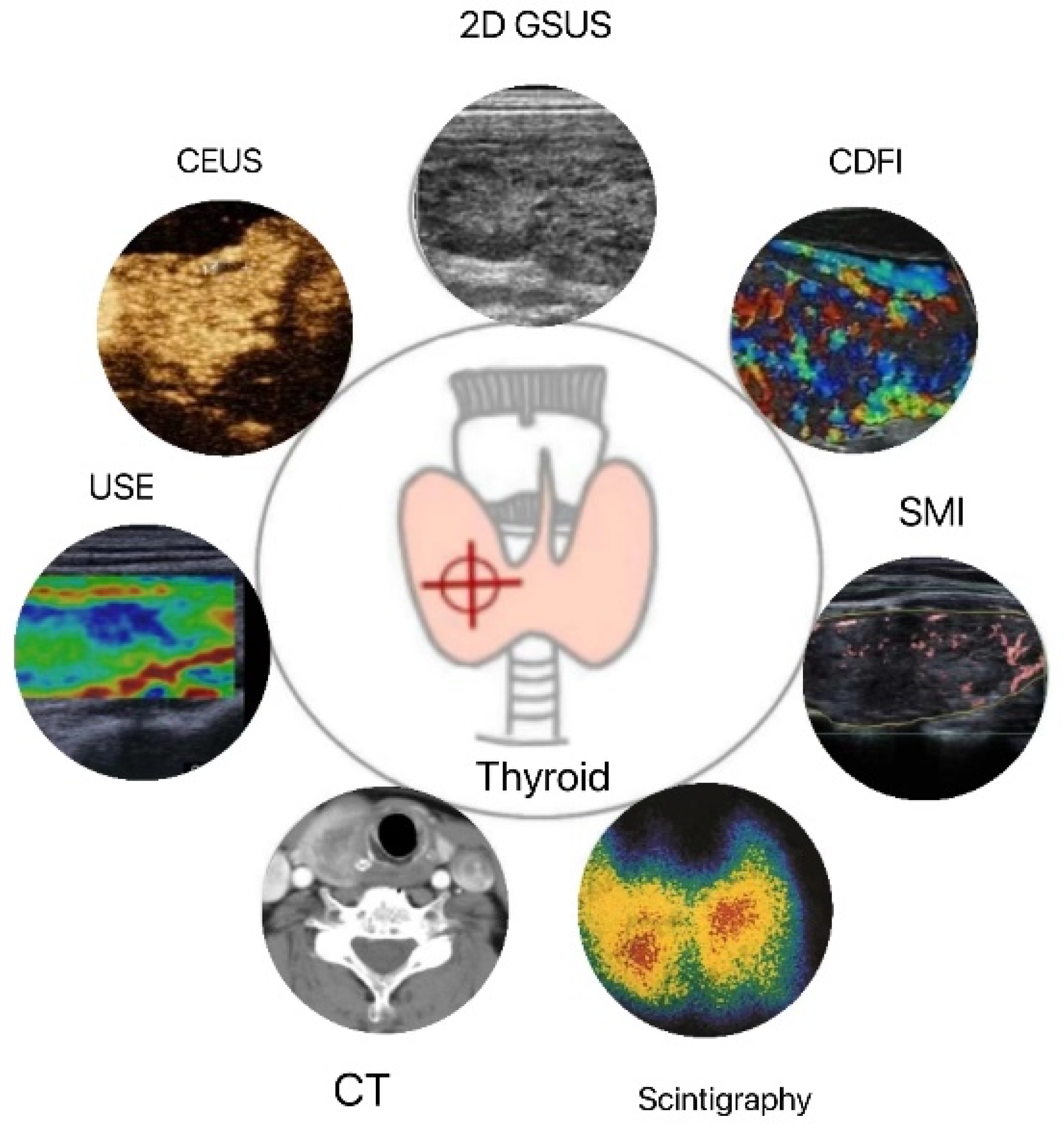 Diagnostics 13 00700 g001