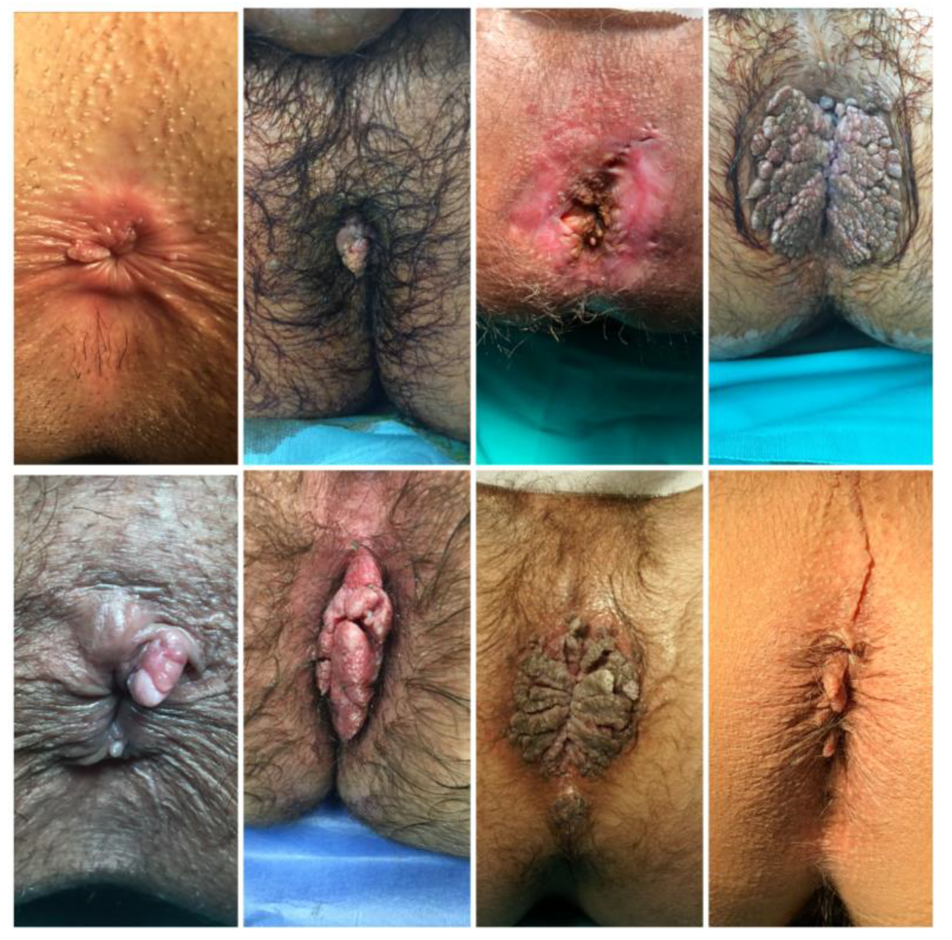 Diagnostics 13 00702 g001