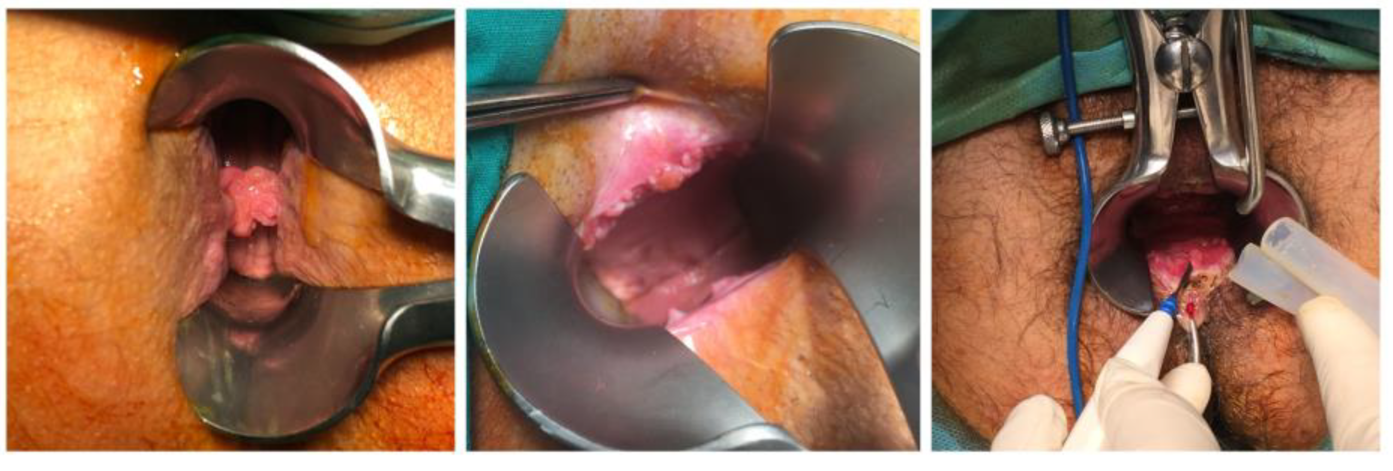 Diagnostics 13 00702 g005