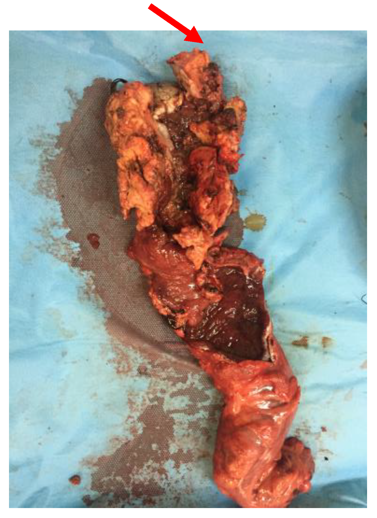 Diagnostics 13 00702 g009