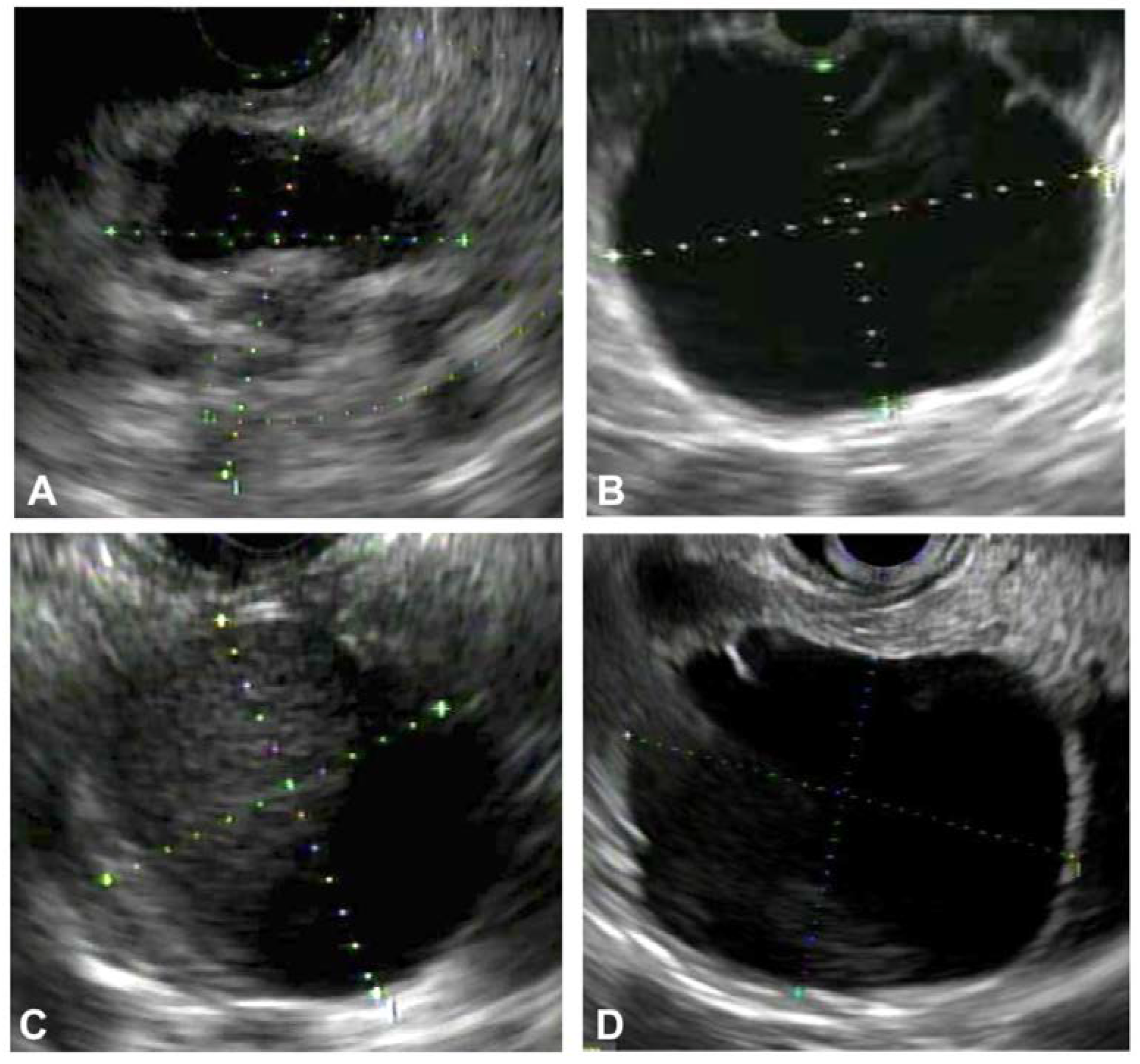 Diagnostics 13 00705 g002