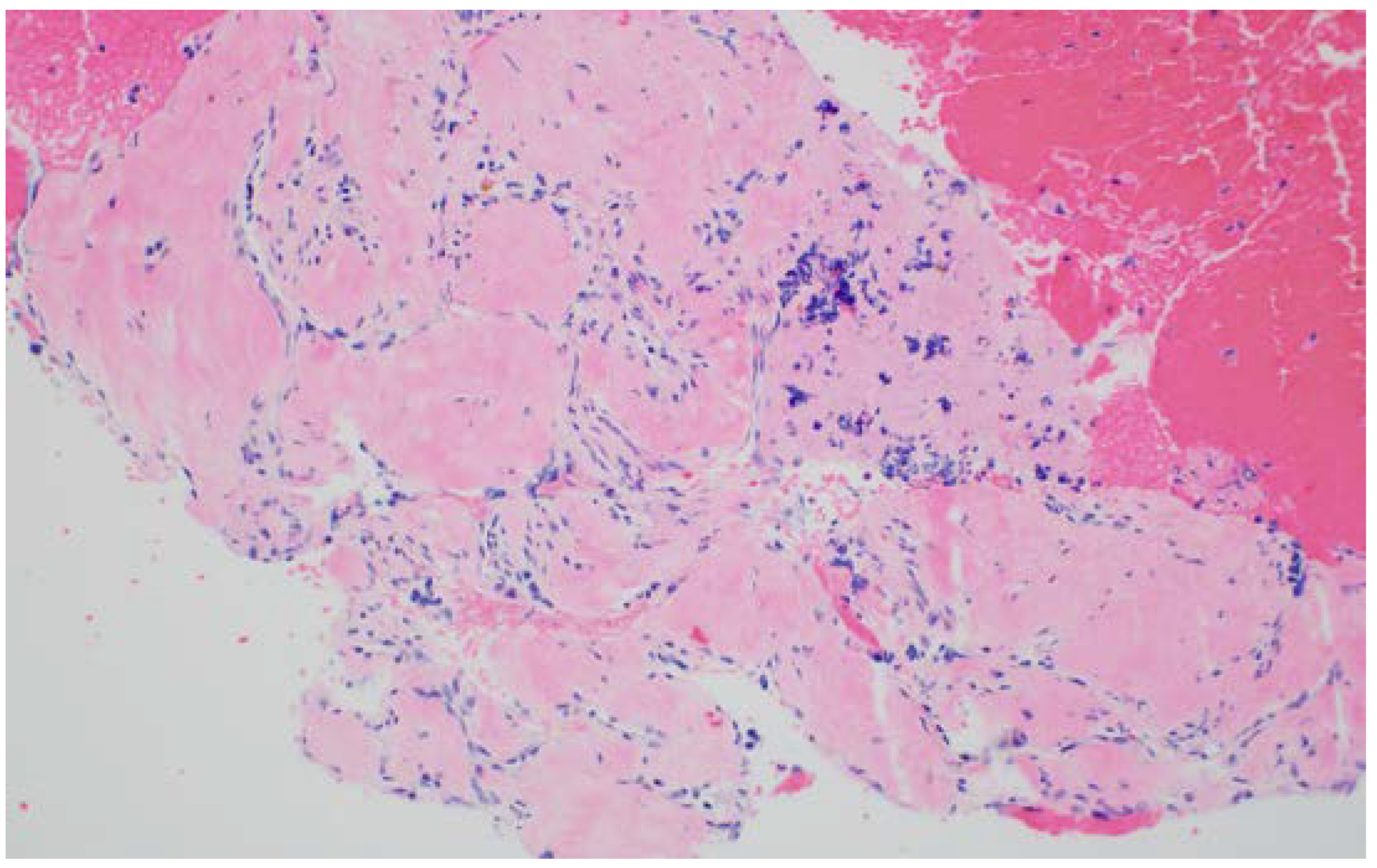 Diagnostics 13 00705 g003