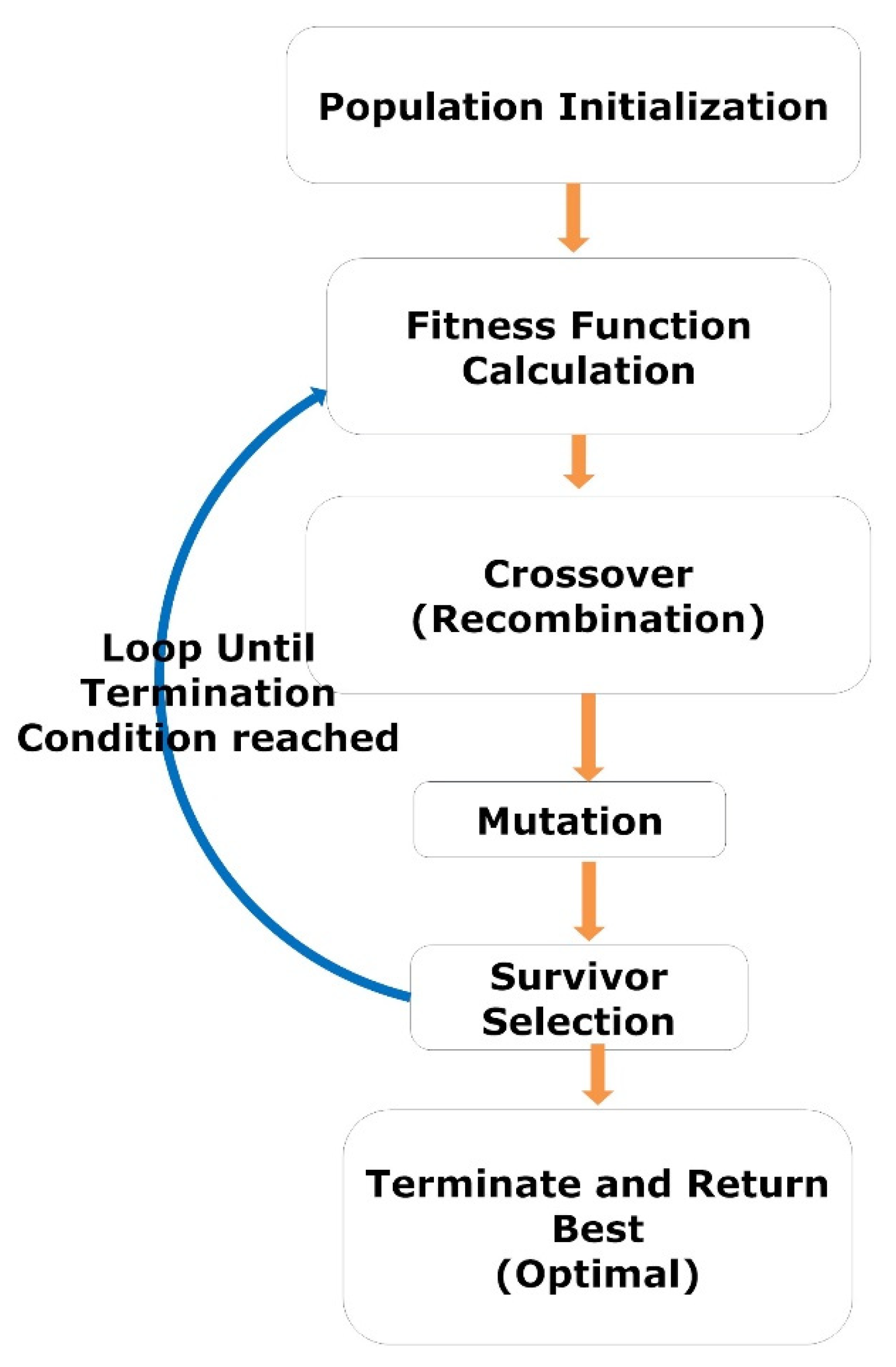 Diagnostics 13 00708 g003