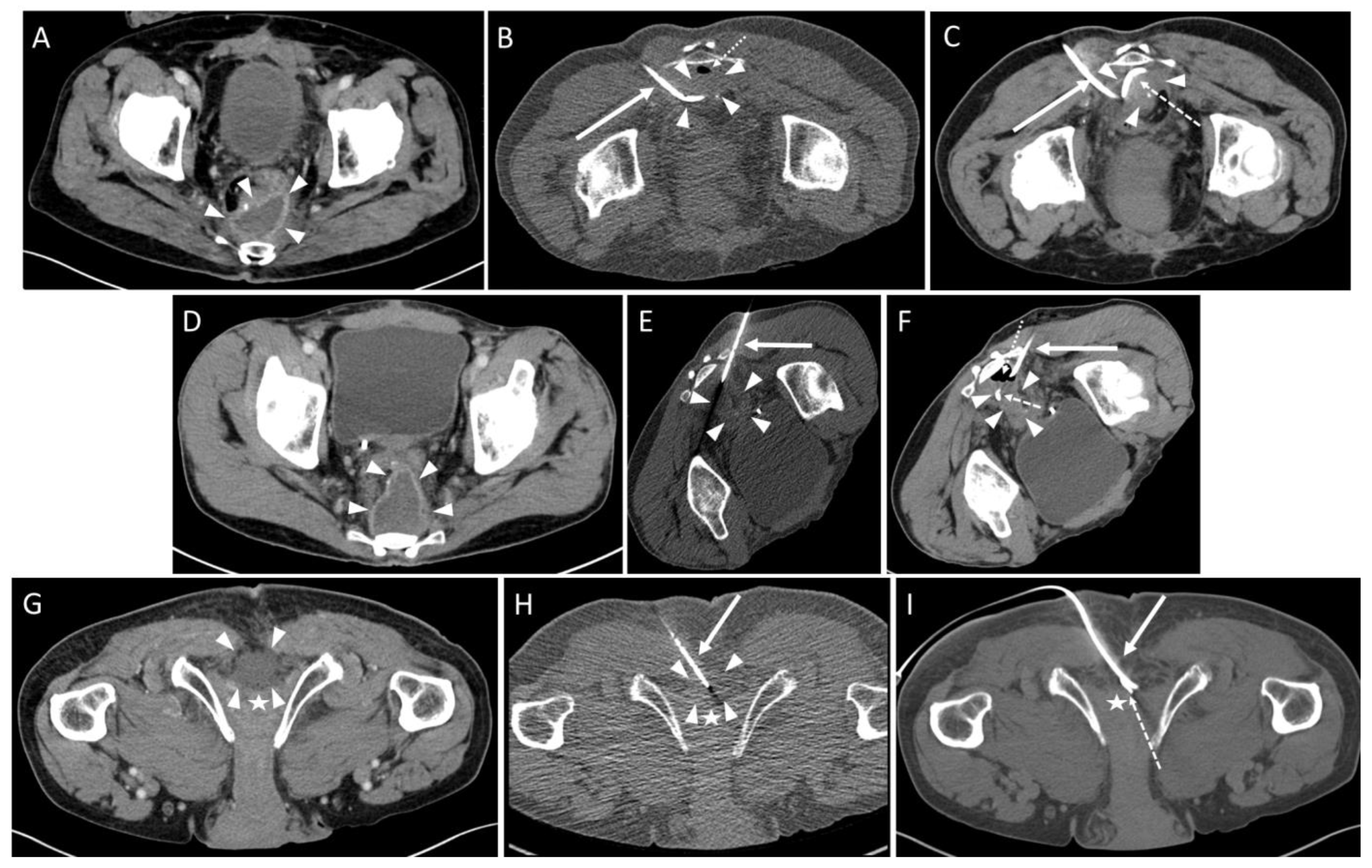 Diagnostics 13 00711 g002