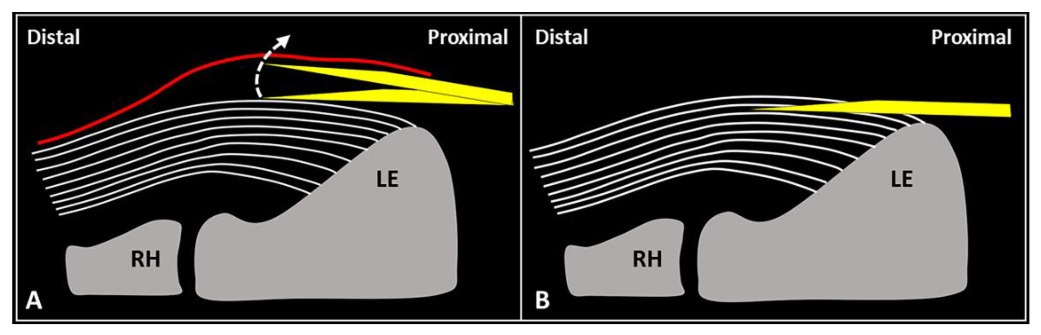 Diagnostics 13 00717 g002
