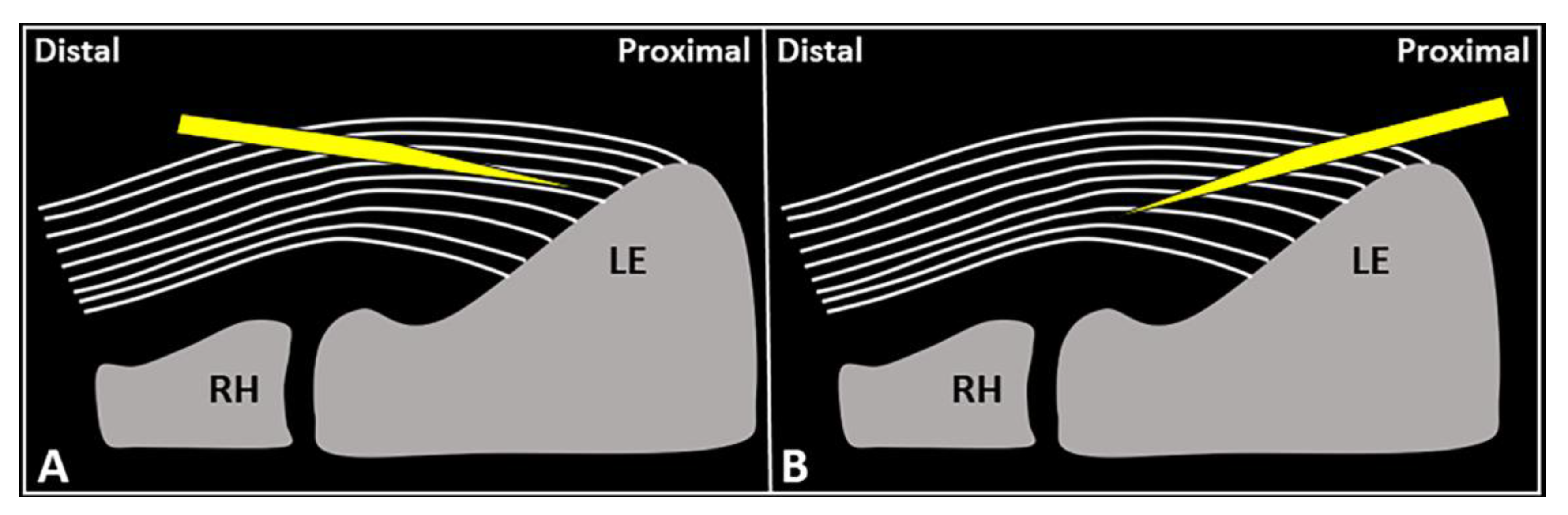 Diagnostics 13 00717 g004