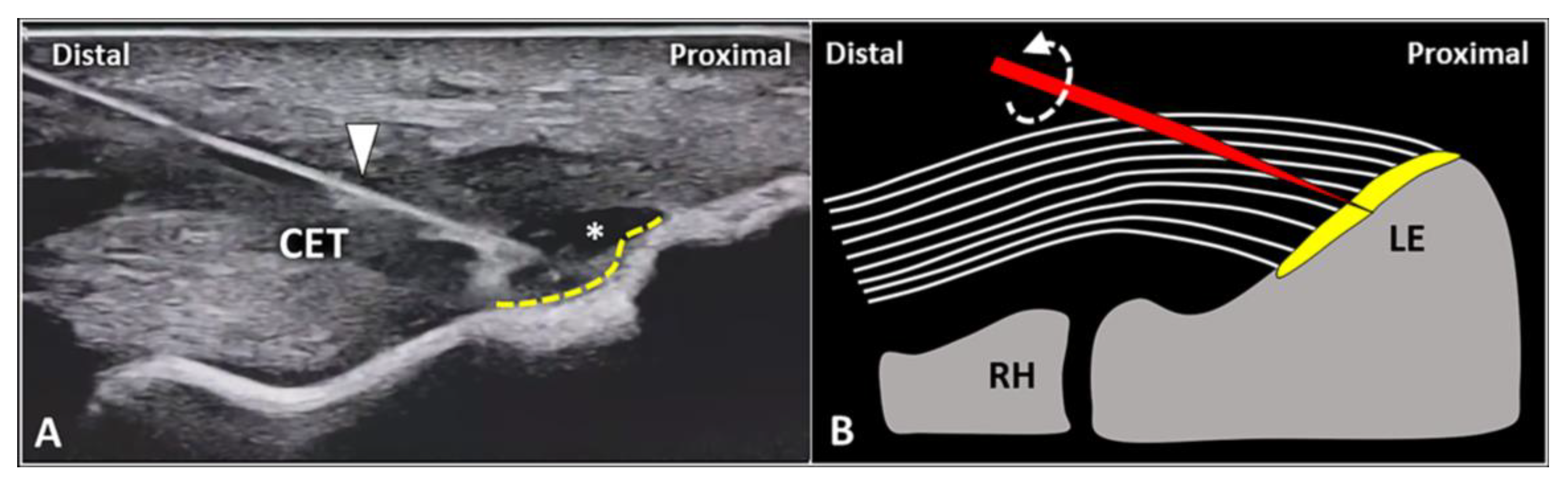 Diagnostics 13 00717 g006