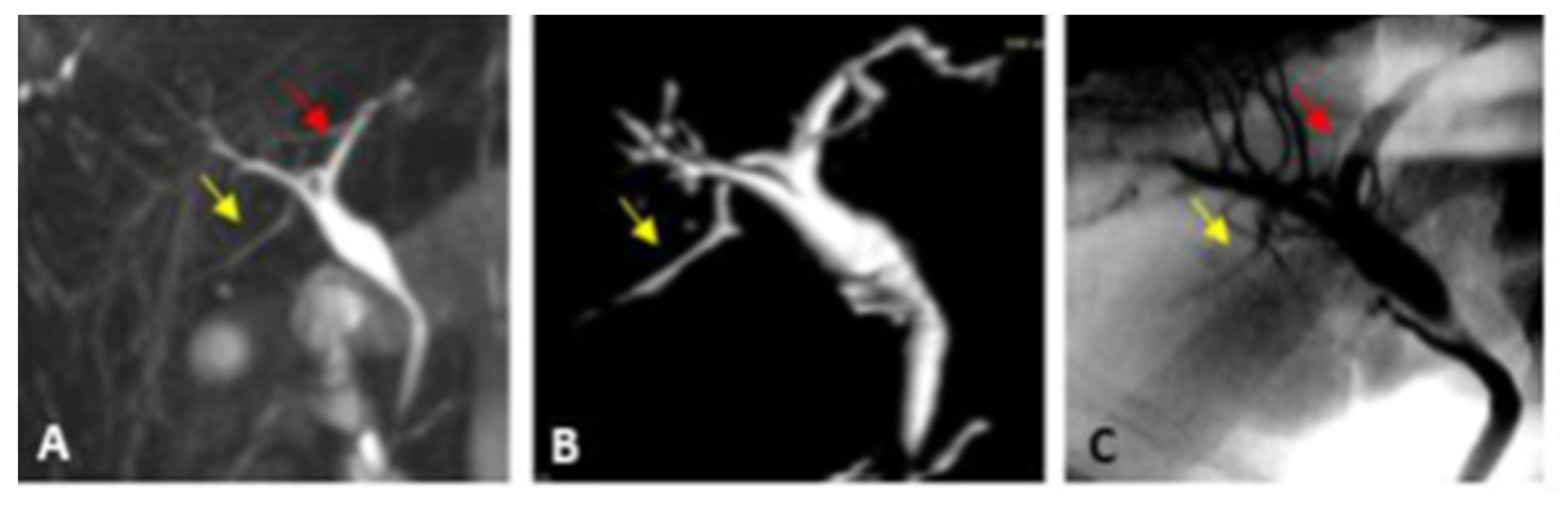 Diagnostics 13 00726 g003