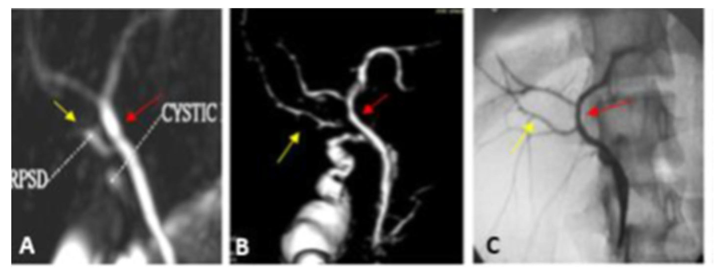 Diagnostics 13 00726 g004