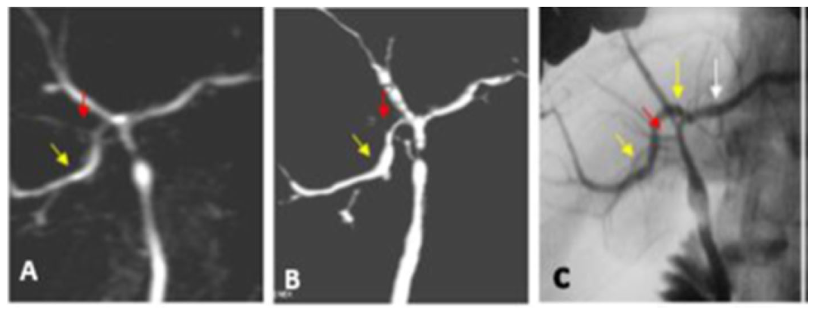 Diagnostics 13 00726 g005