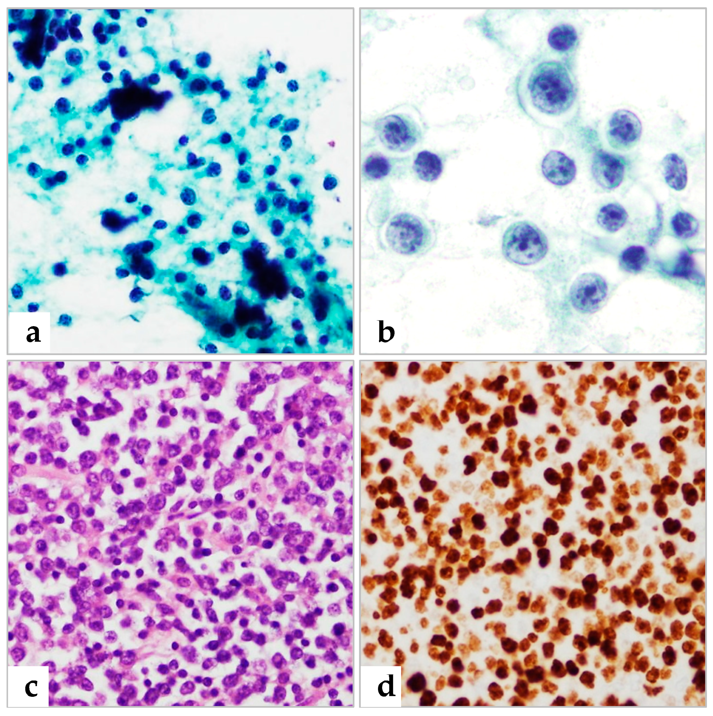 Diagnostics 13 00728 g002