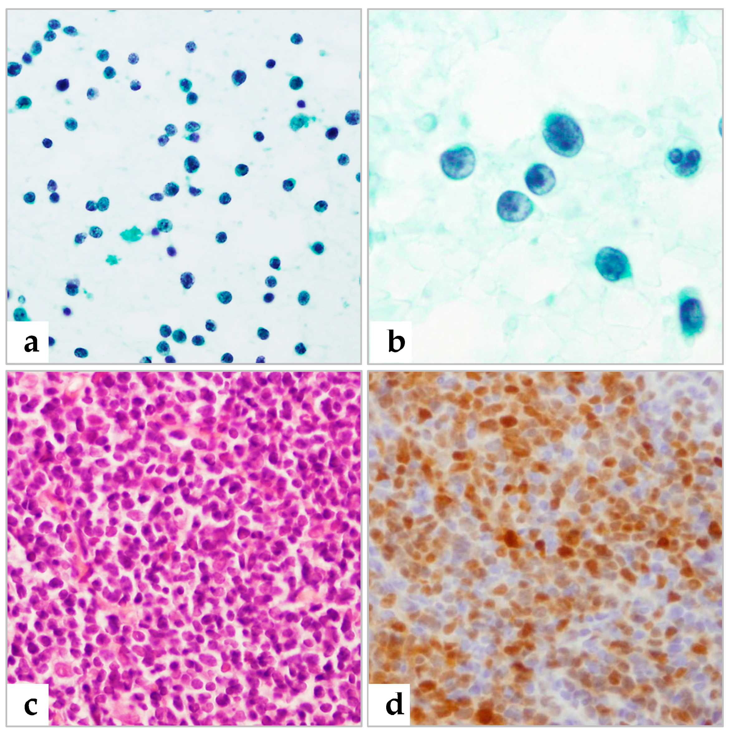 Diagnostics 13 00728 g003