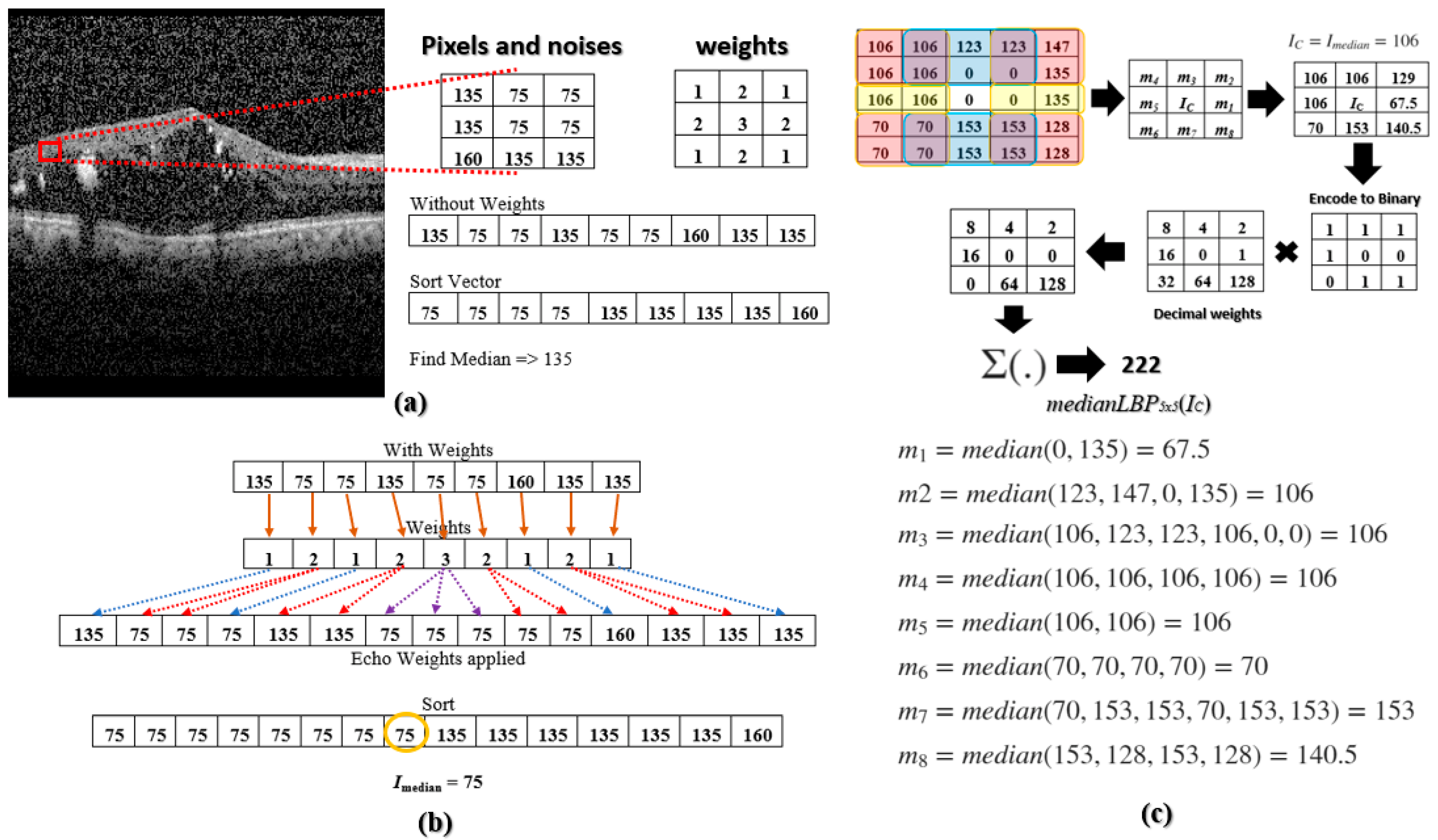 Diagnostics 13 00729 g002