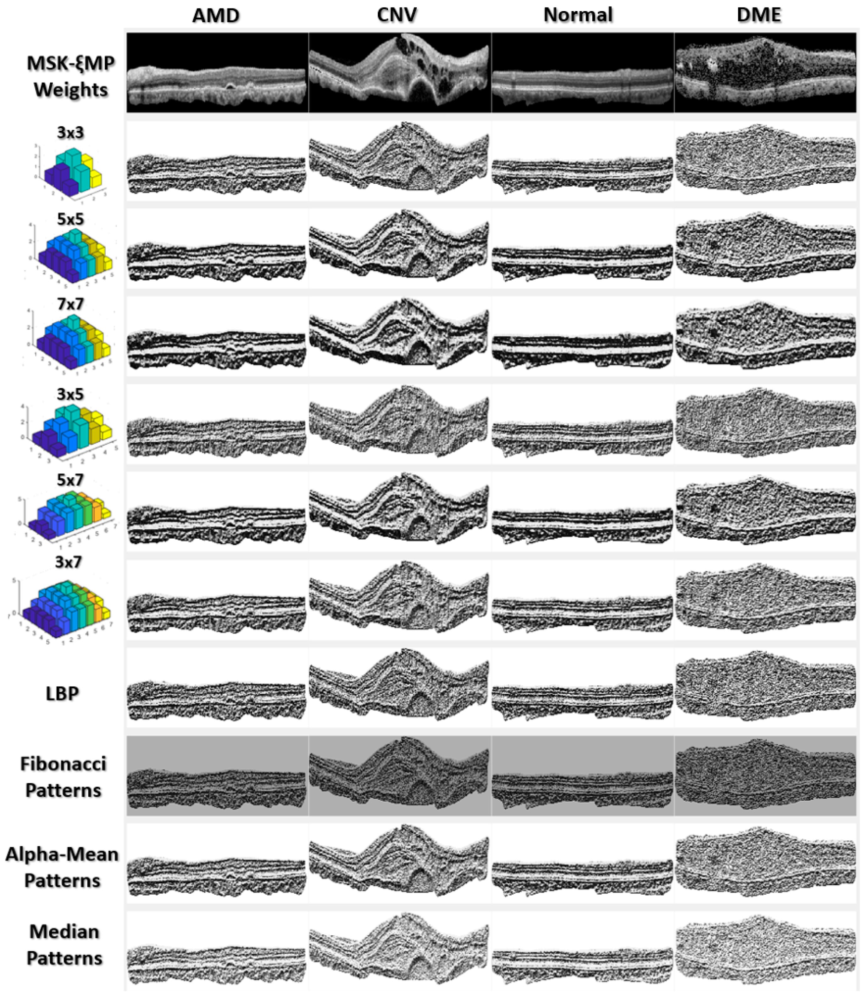 Diagnostics 13 00729 g003