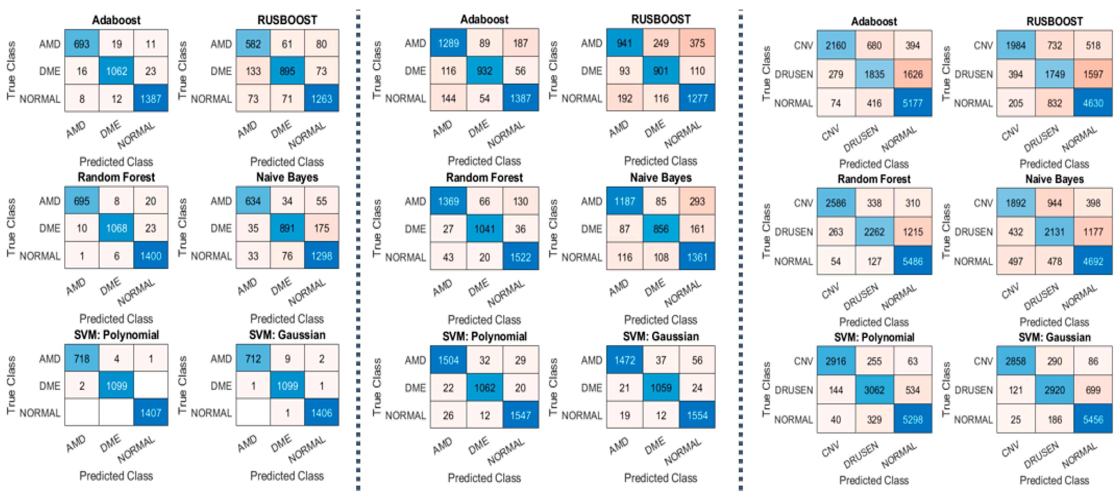 Diagnostics 13 00729 g005
