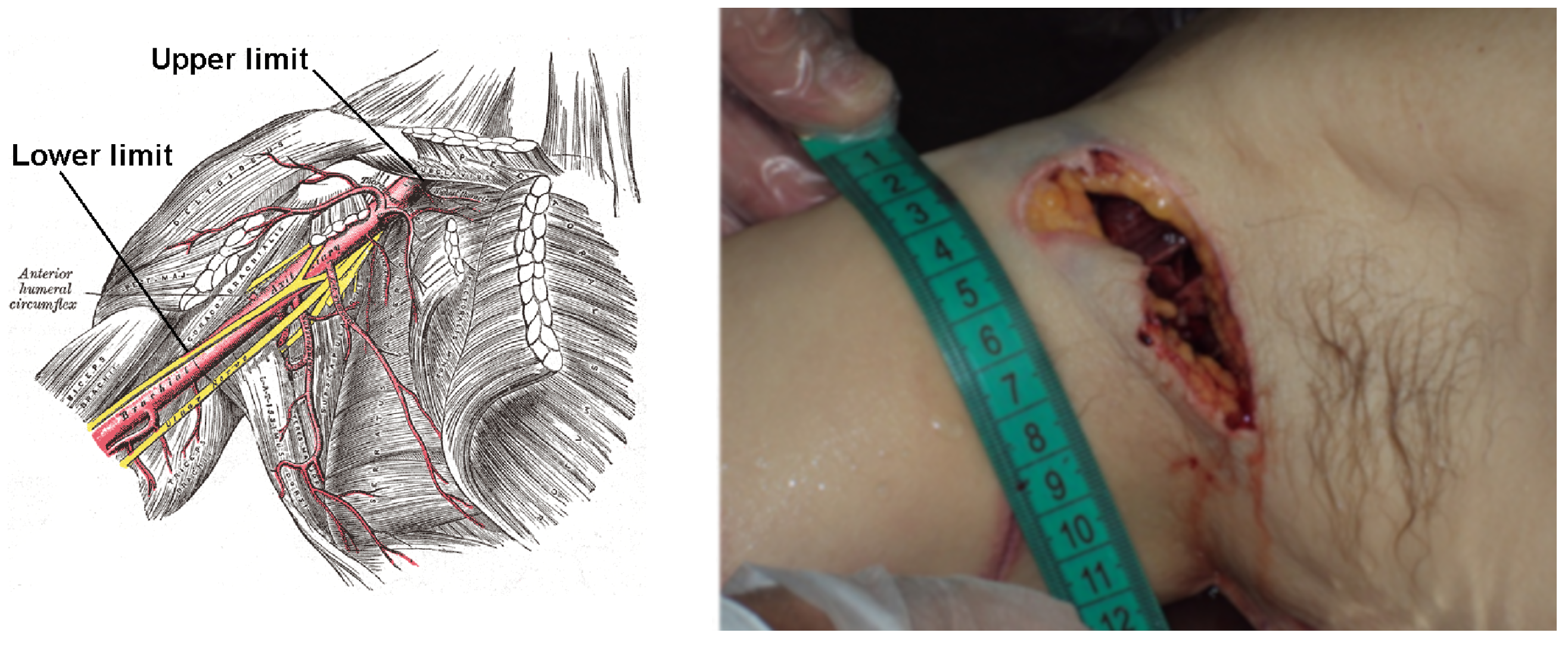 Diagnostics 13 00732 g002