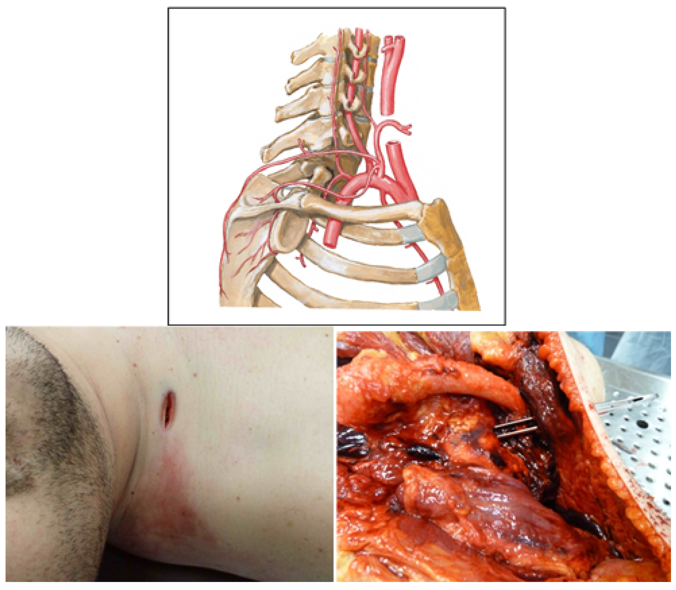 Diagnostics 13 00732 g003