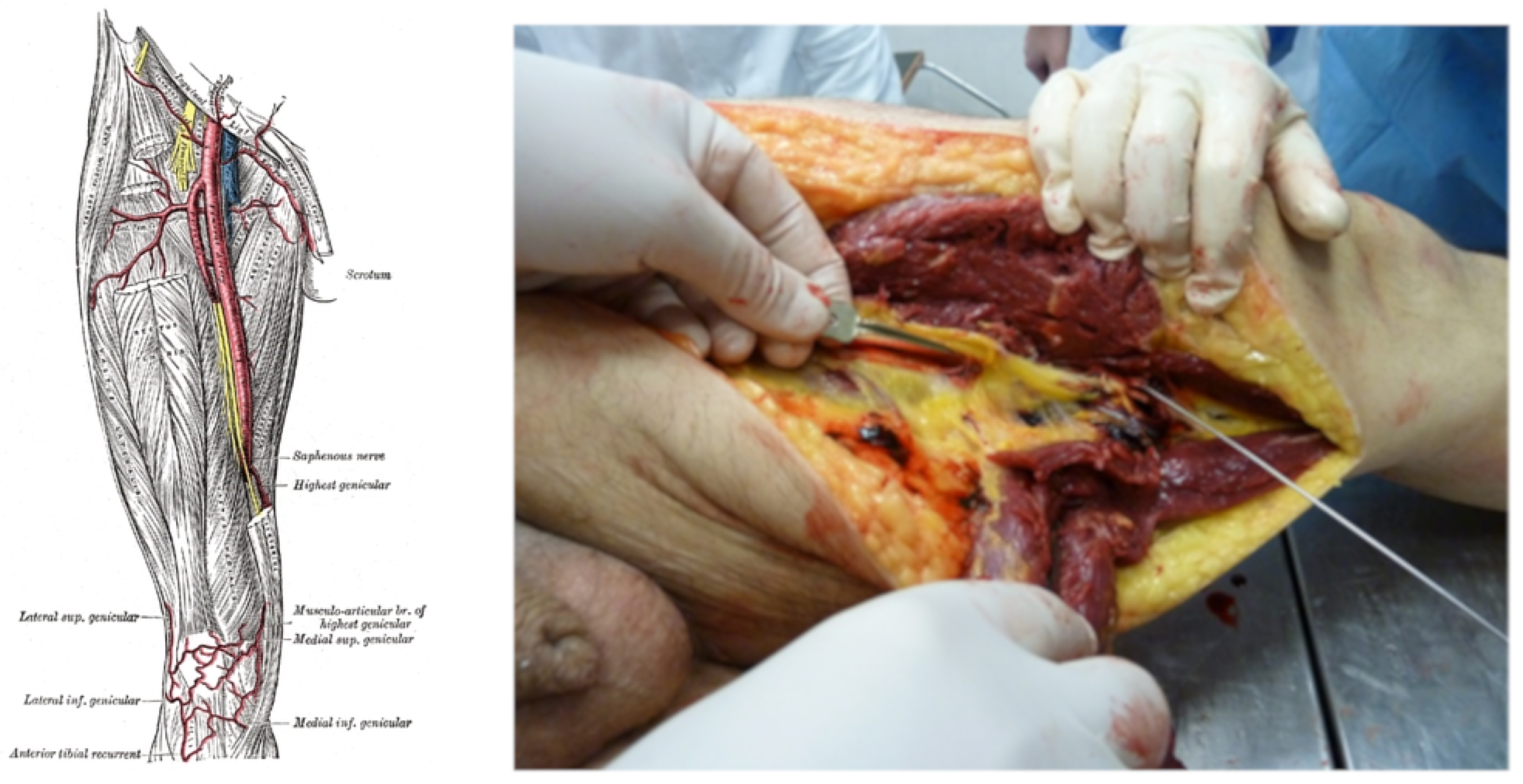 Diagnostics 13 00732 g004