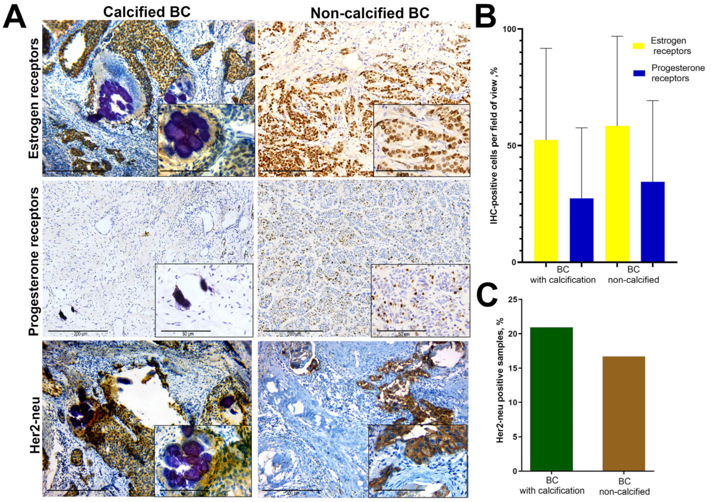 Diagnostics 13 00737 g001