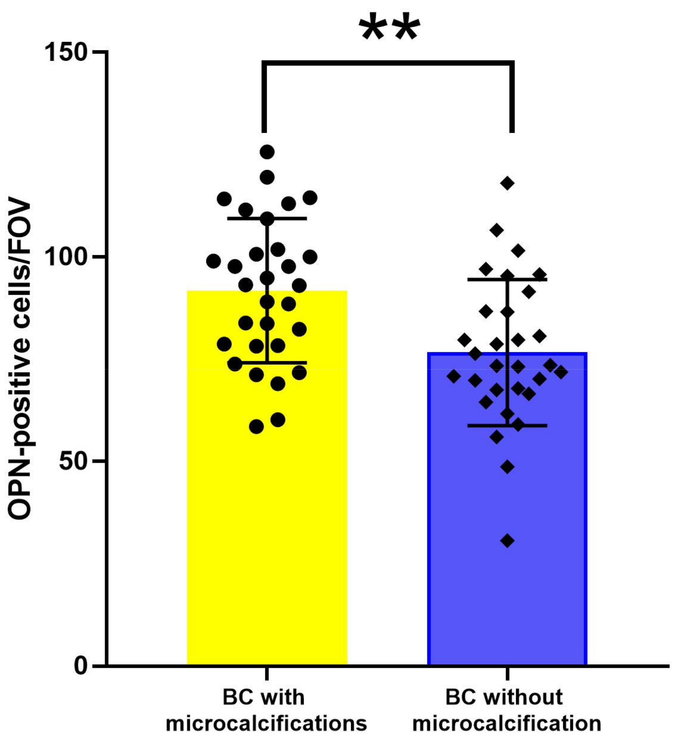 Diagnostics 13 00737 g007