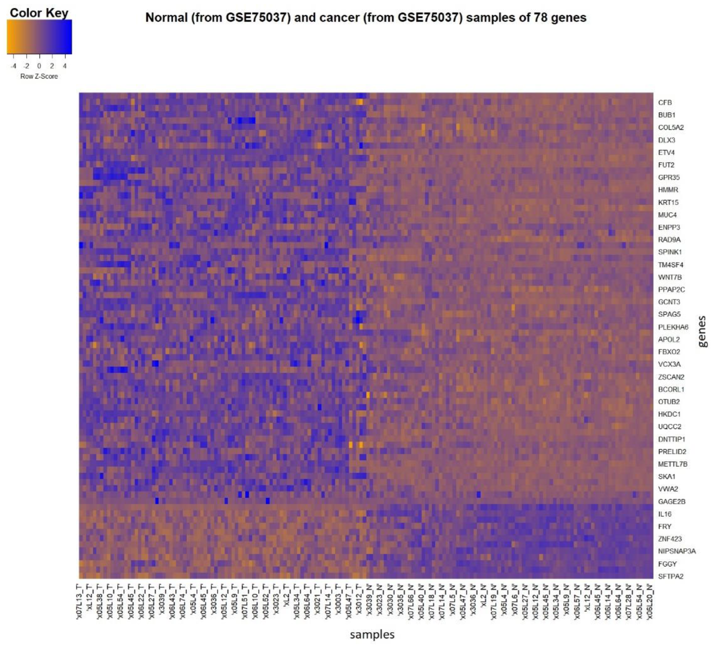 Diagnostics 13 00738 g003
