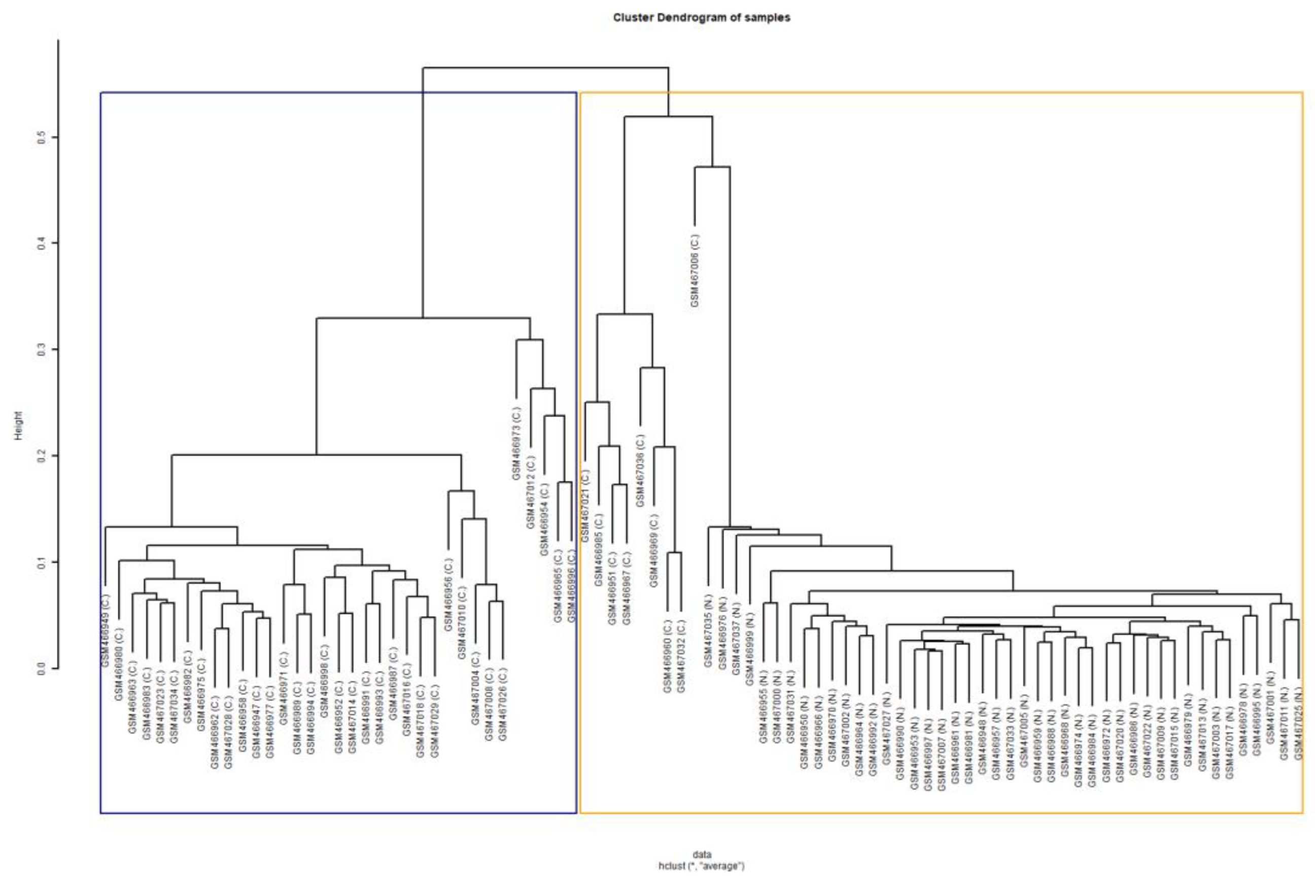 Diagnostics 13 00738 g004