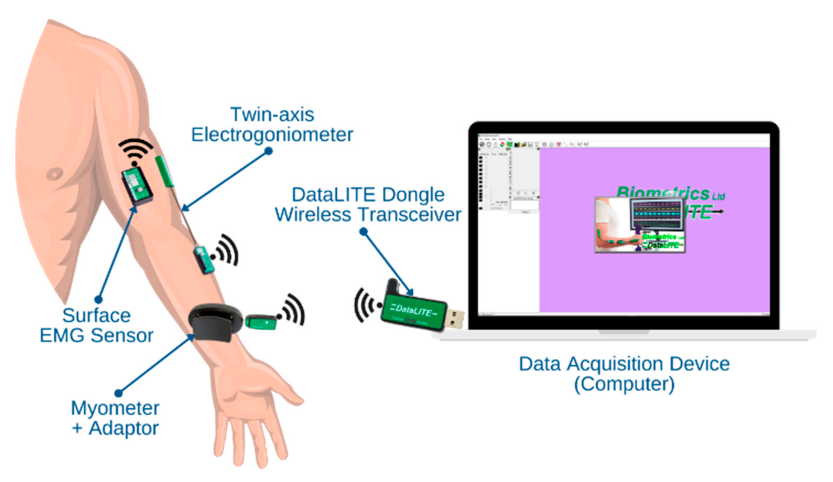 Diagnostics 13 00739 g003