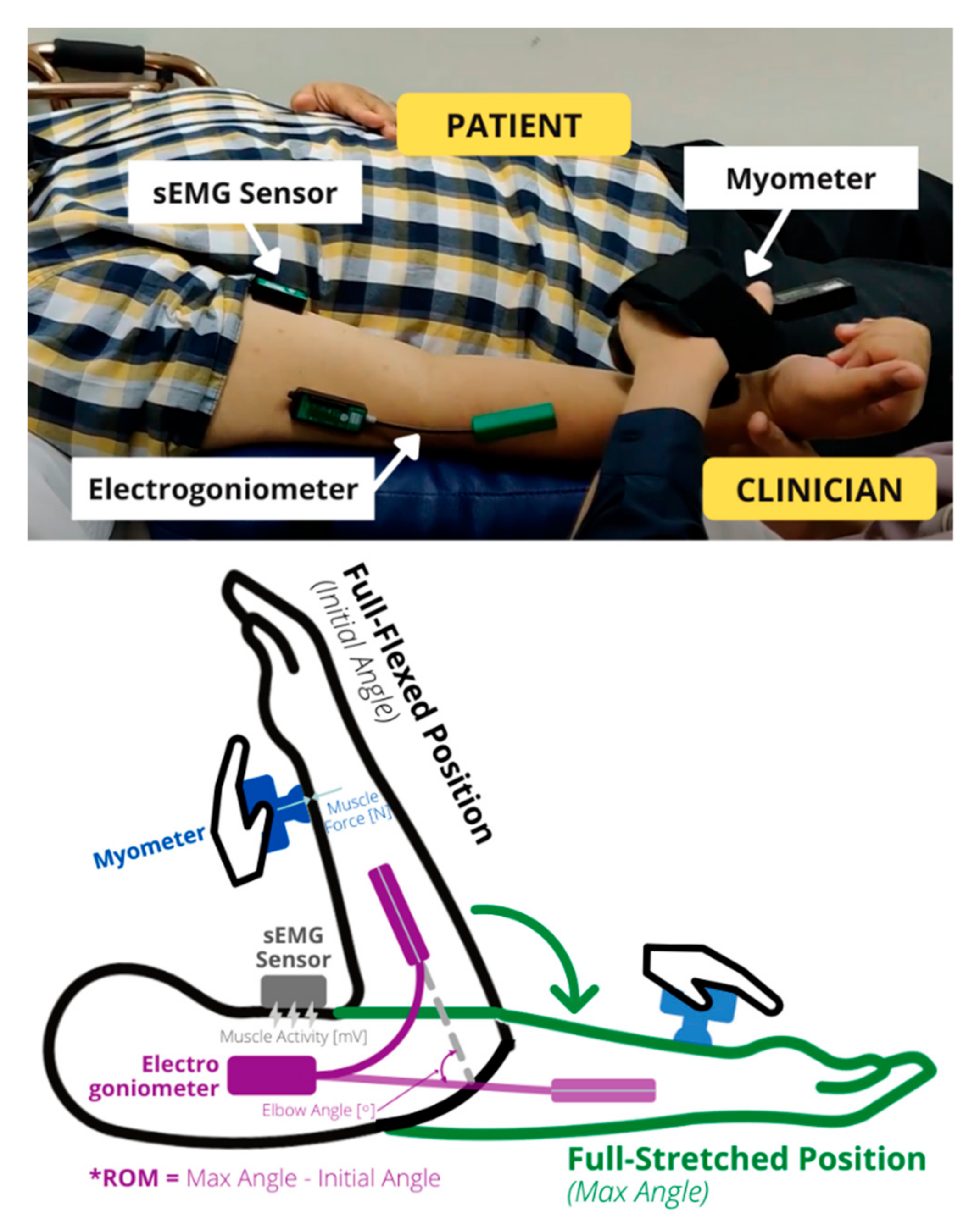 Diagnostics 13 00739 g005