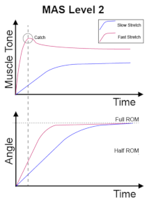Diagnostics 13 00739 i004