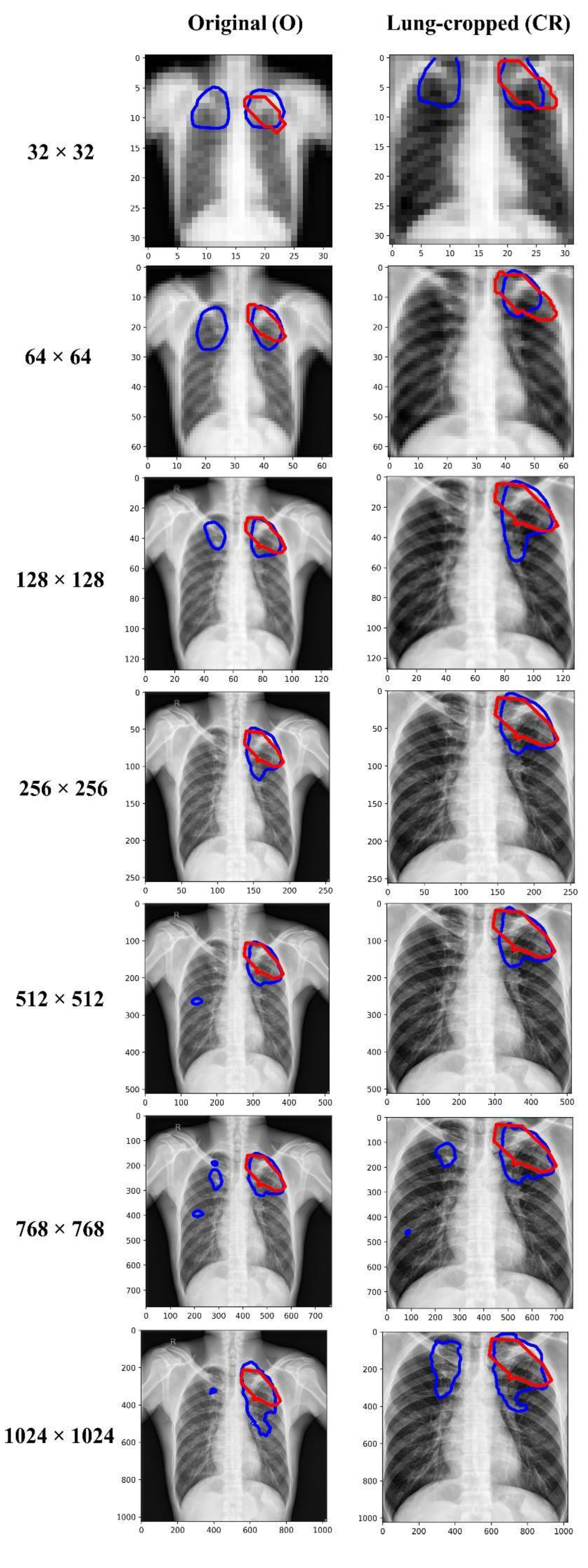Diagnostics 13 00747 g005