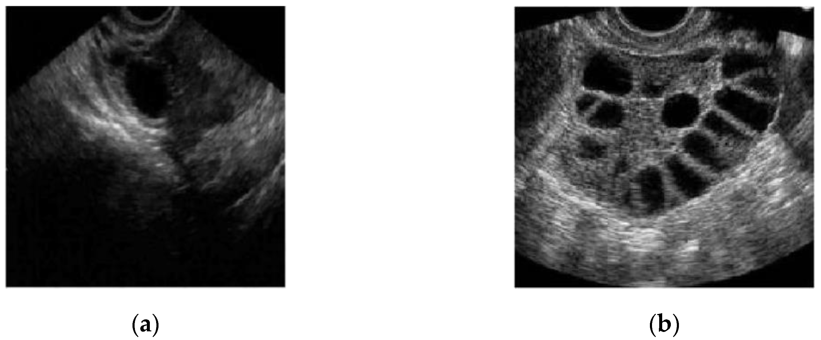 Diagnostics 13 00750 g002