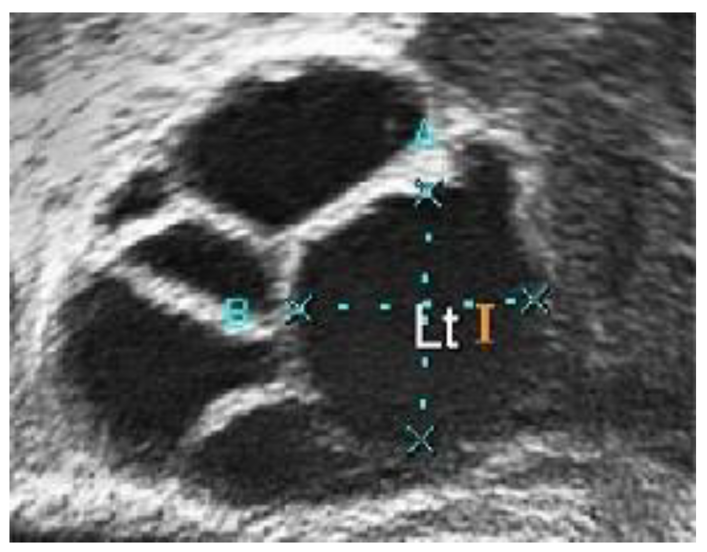 Diagnostics 13 00750 g005