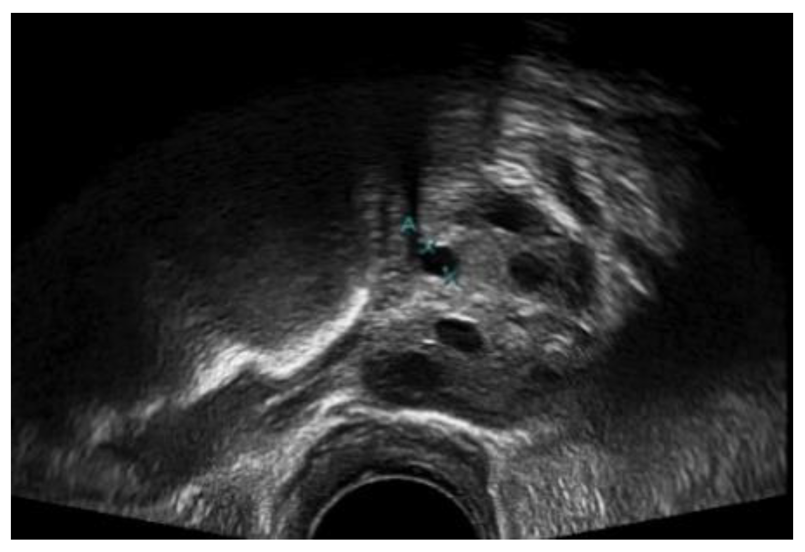 Diagnostics 13 00750 g007