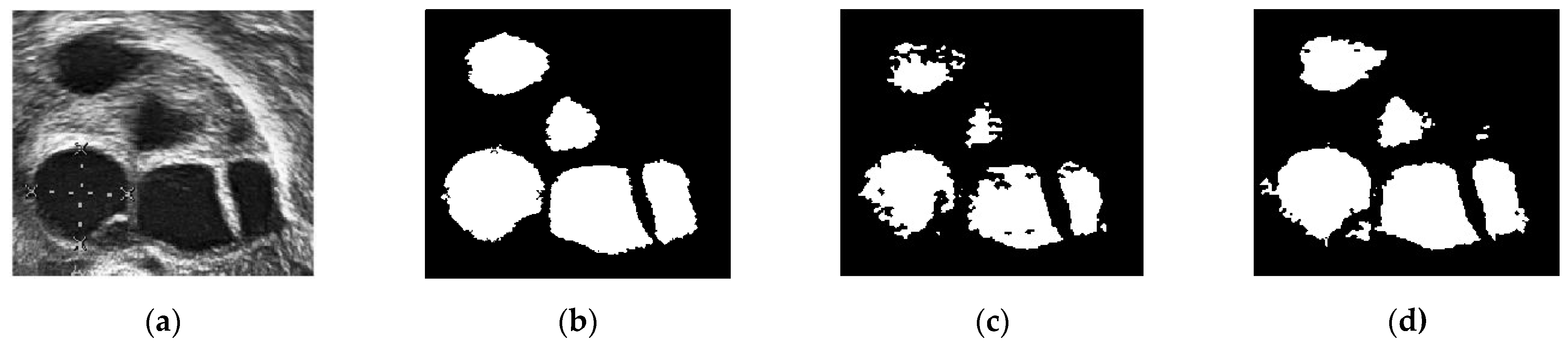 Diagnostics 13 00750 g013