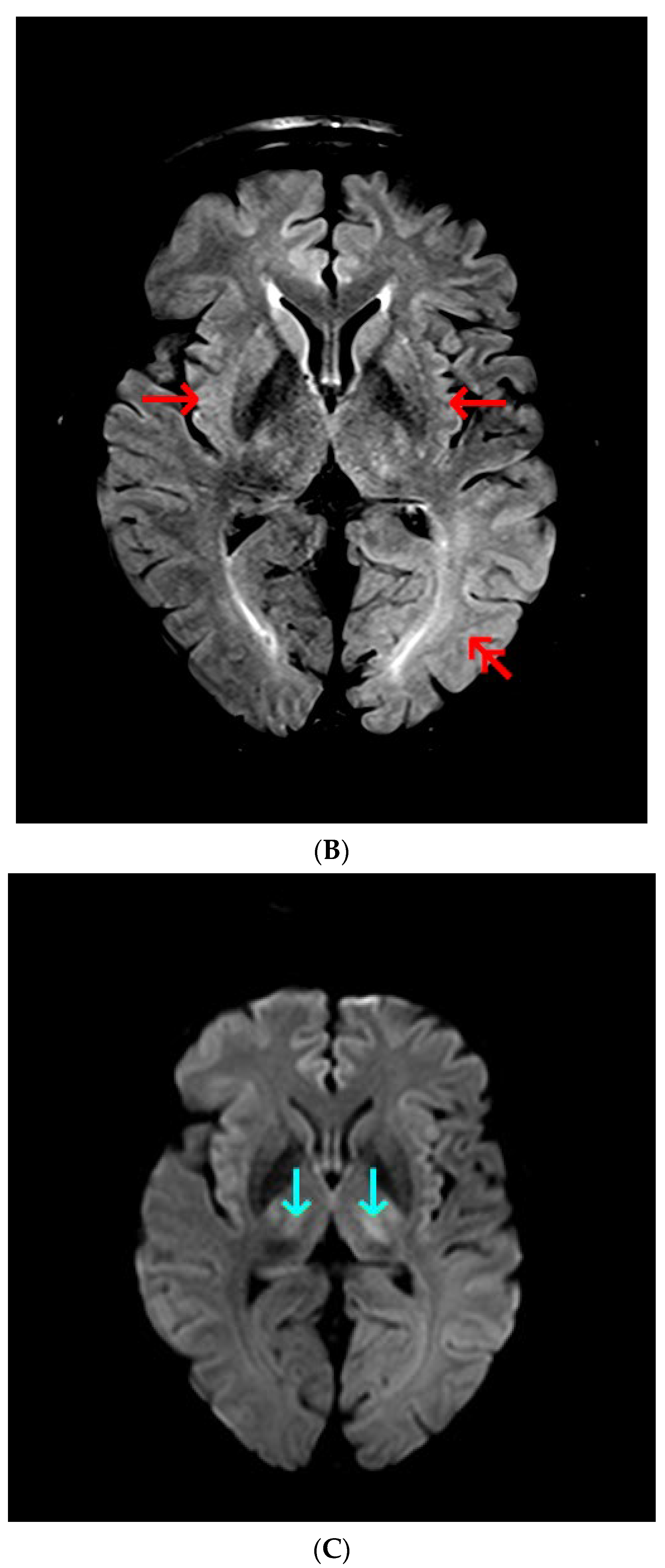Diagnostics 13 00753 g001b
