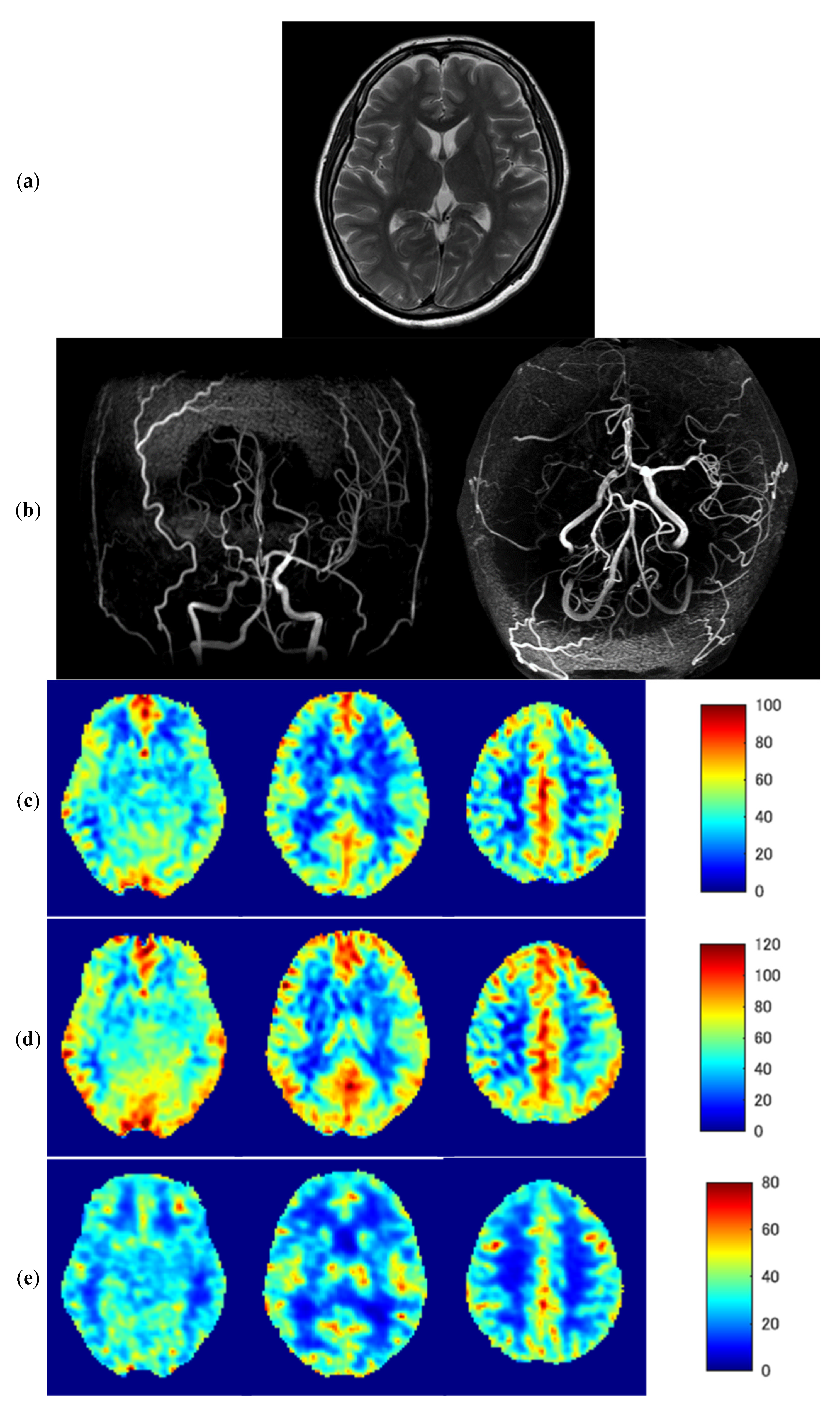 Diagnostics 13 00756 g005a