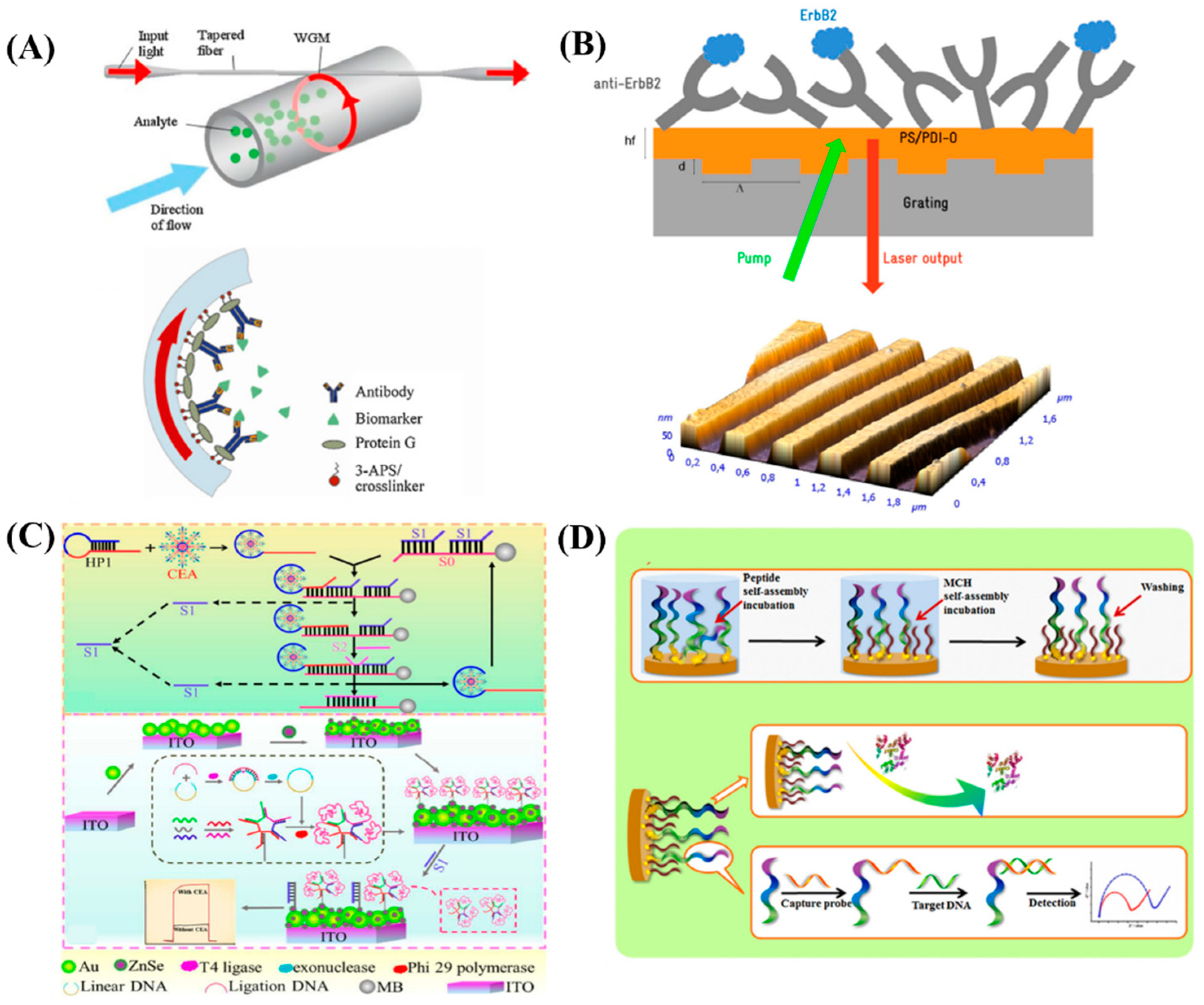 Diagnostics 13 00766 g003