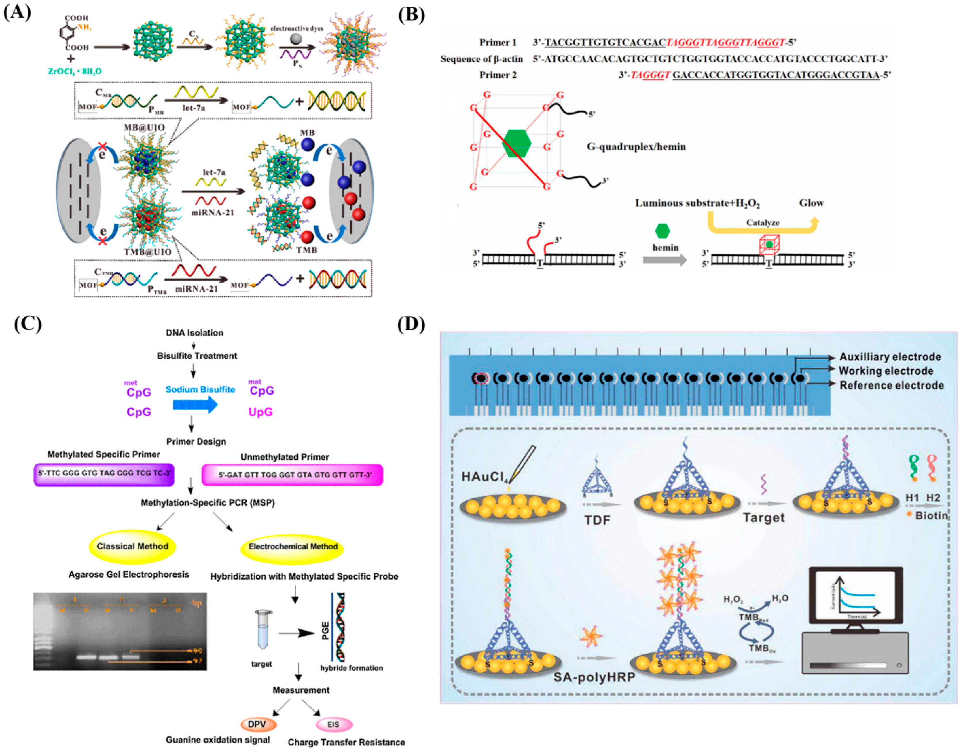 Diagnostics 13 00766 g004