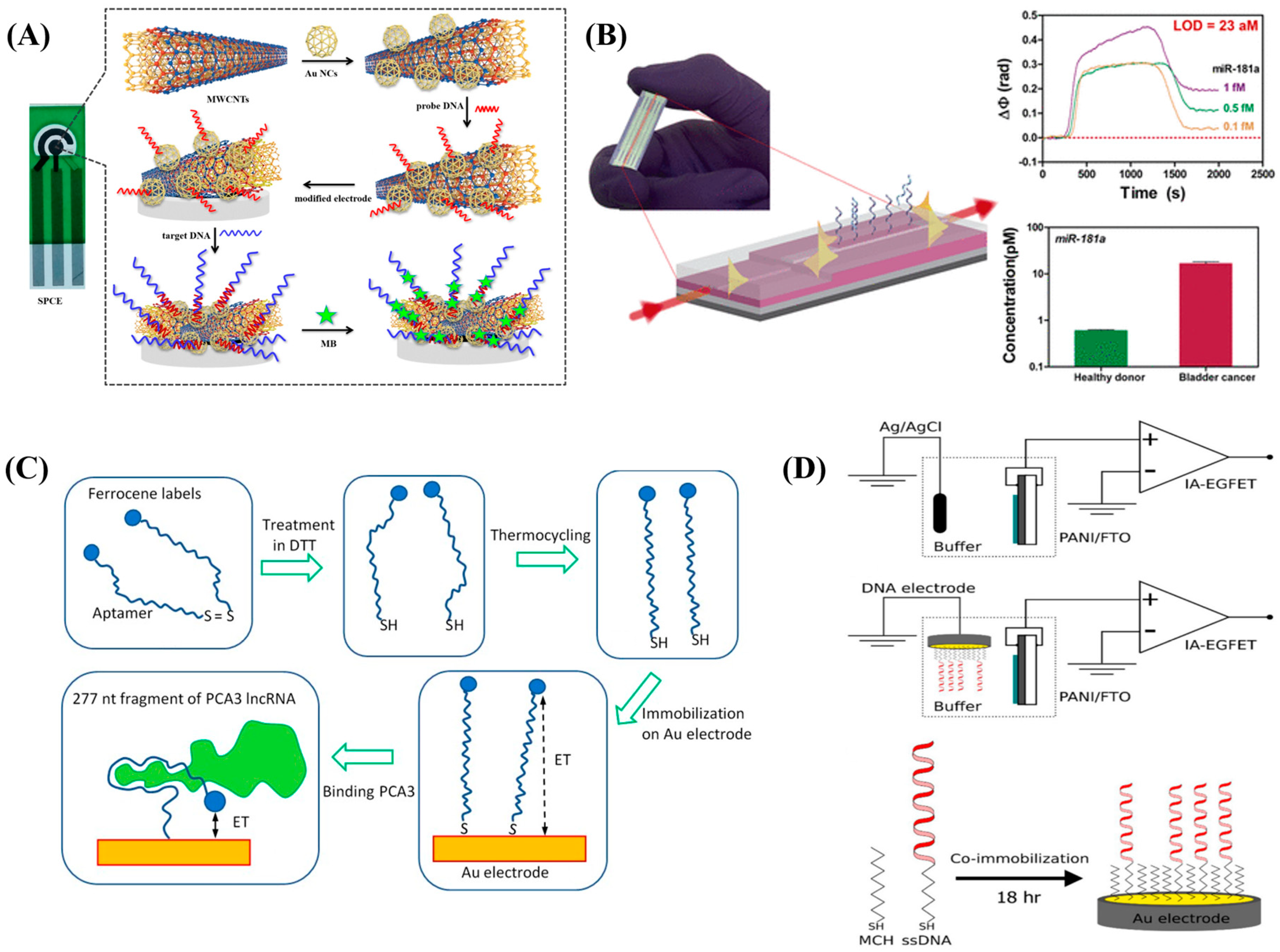 Diagnostics 13 00766 g005
