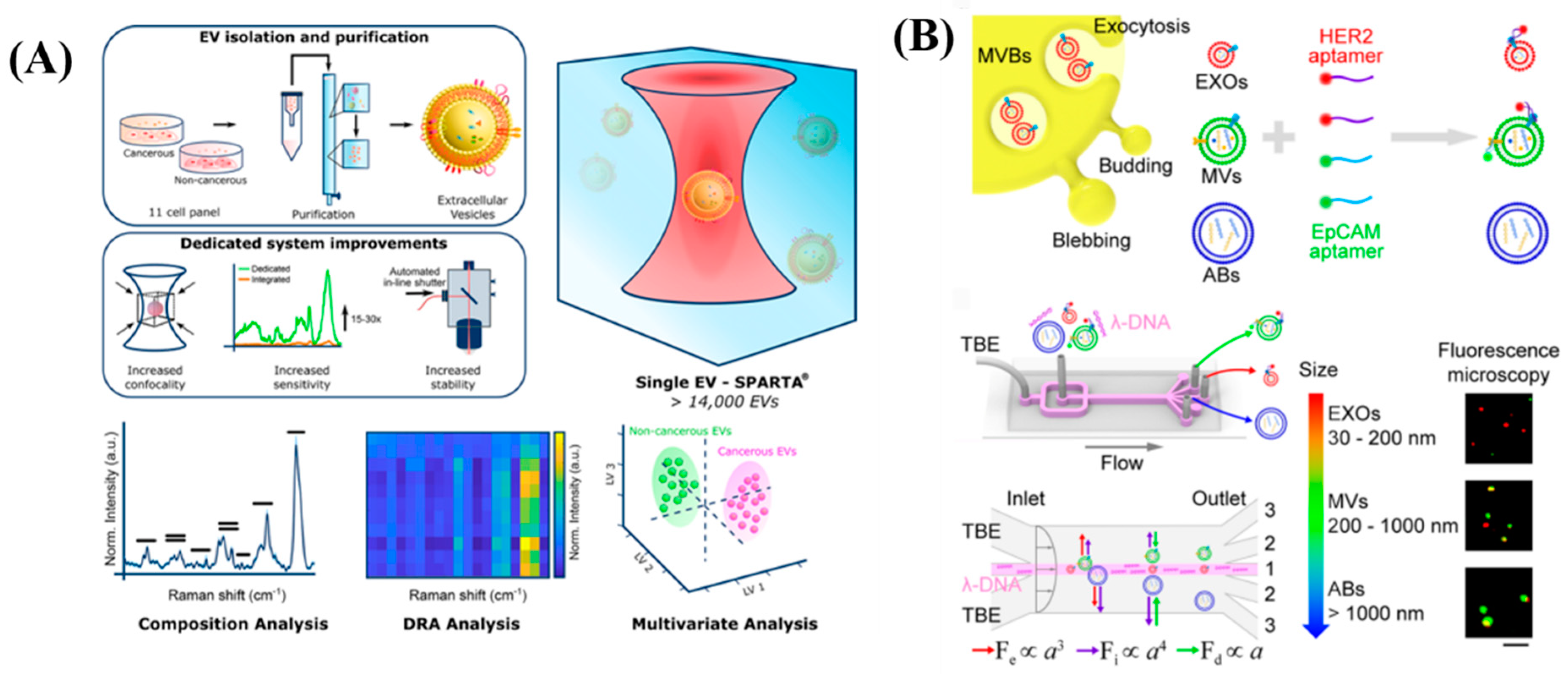Diagnostics 13 00766 g007